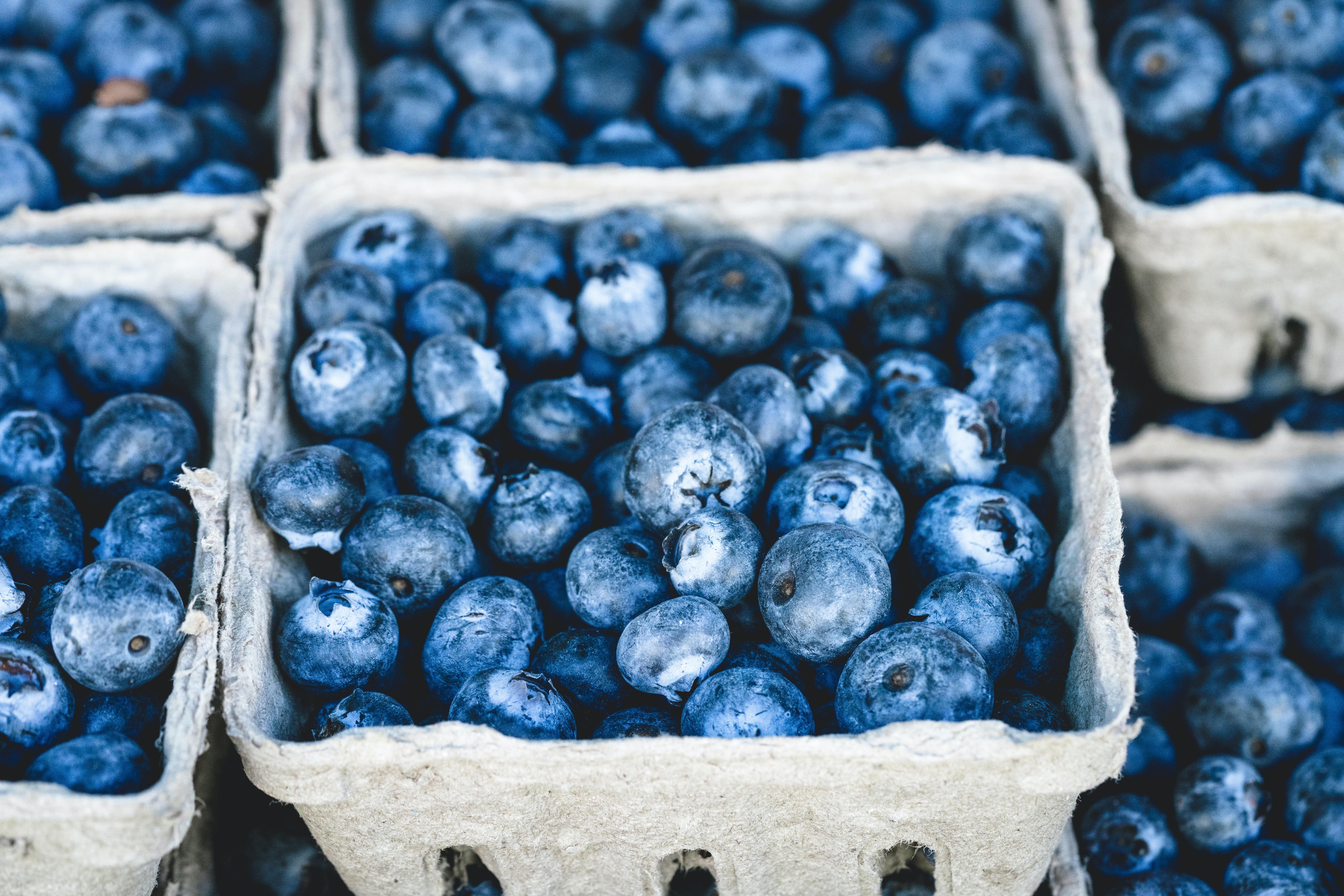 7952x5304 Best Free Blueberries & Image · 100% Royalty Free HD Downloads