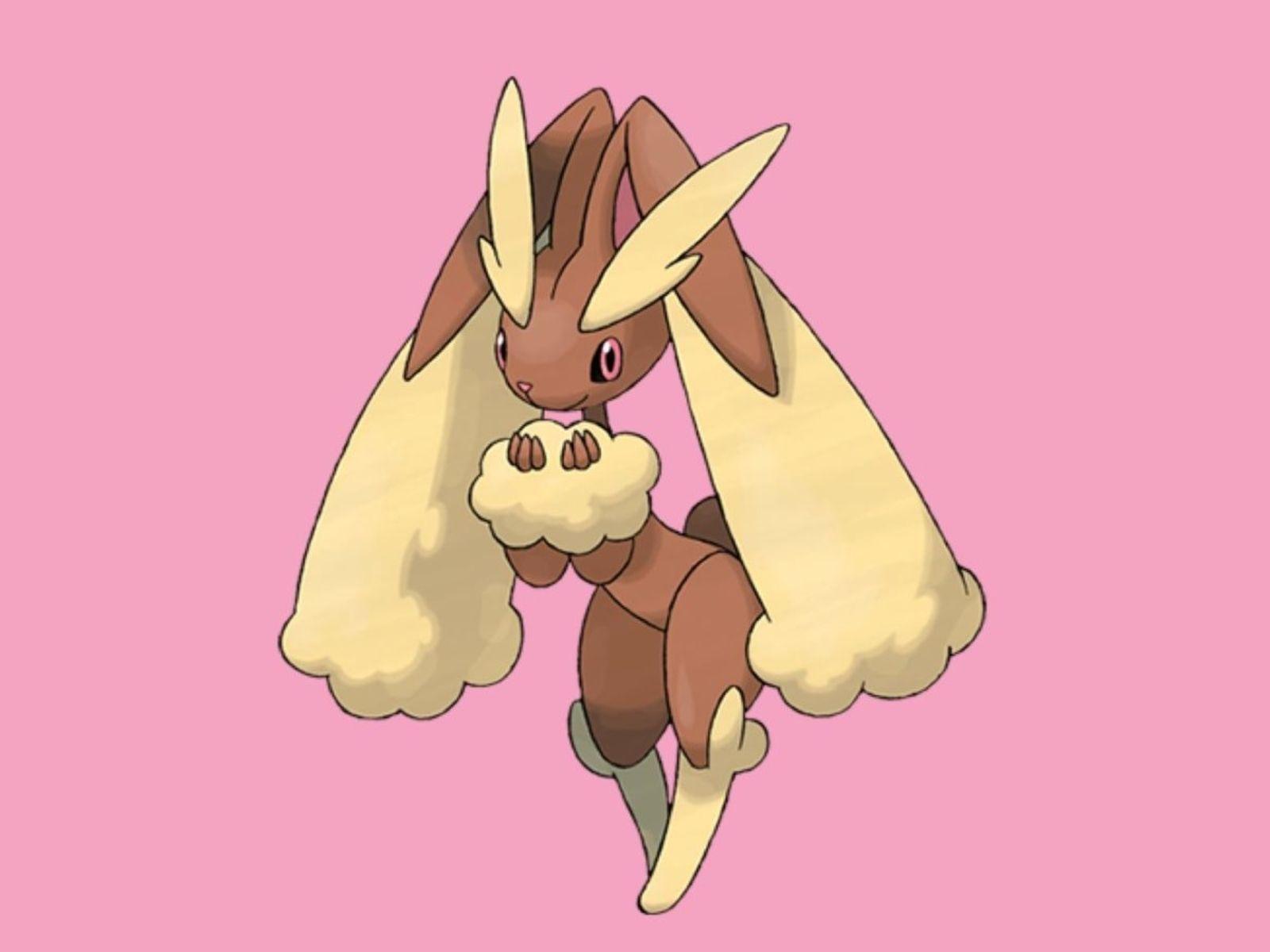 Lopunny Wallpapers - Top Free Lopunny Backgrounds - WallpaperAccess