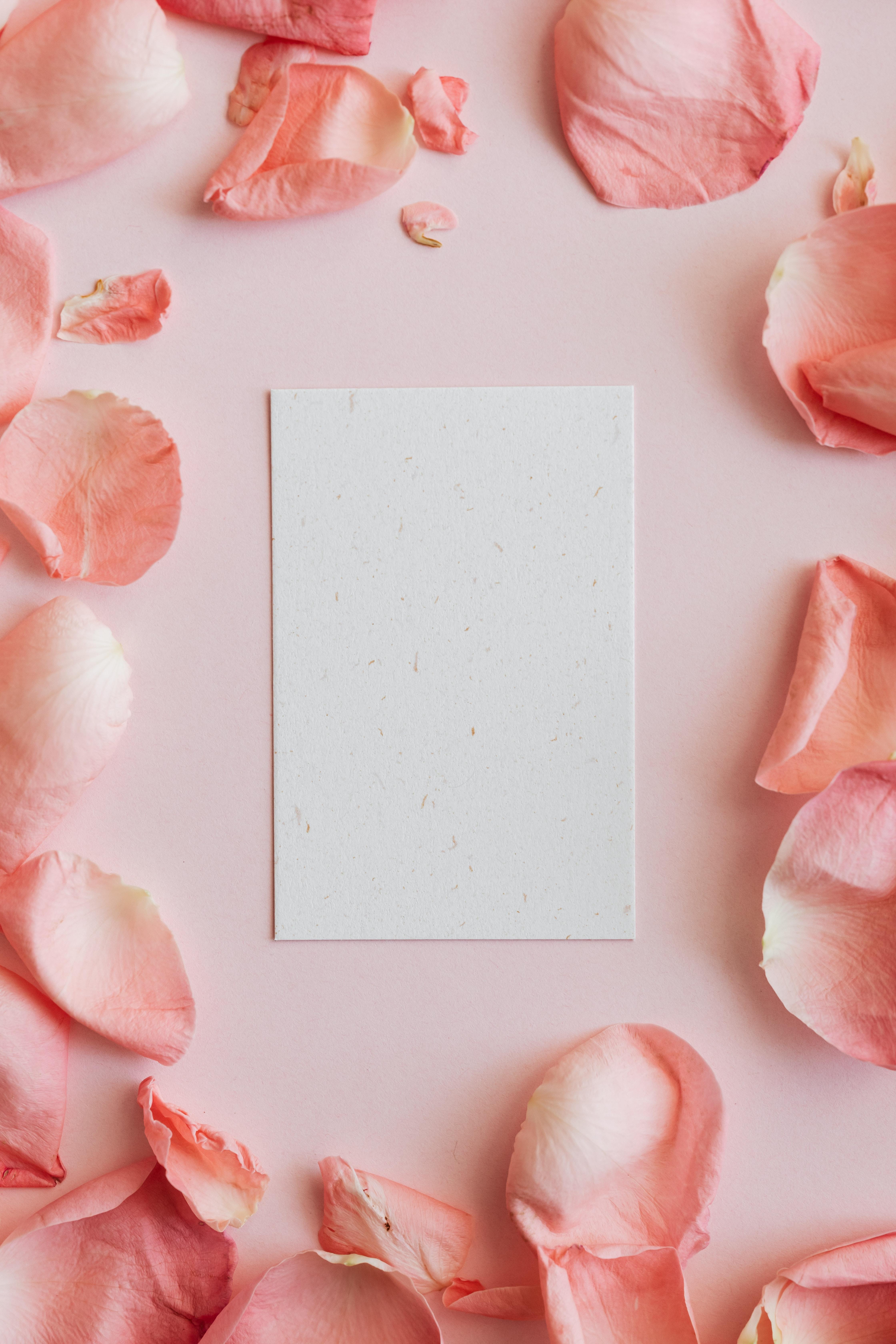 4480x6720 Aesthetic Wallpaper Photo, Download The BEST Free Aesthetic Wallpaper & HD Image