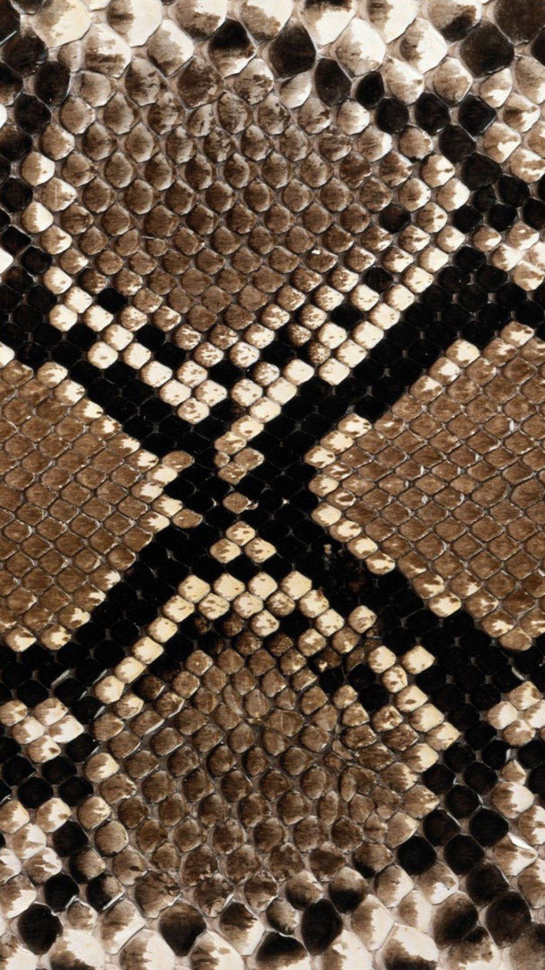 Snake skin black hires stock photography and images  Alamy