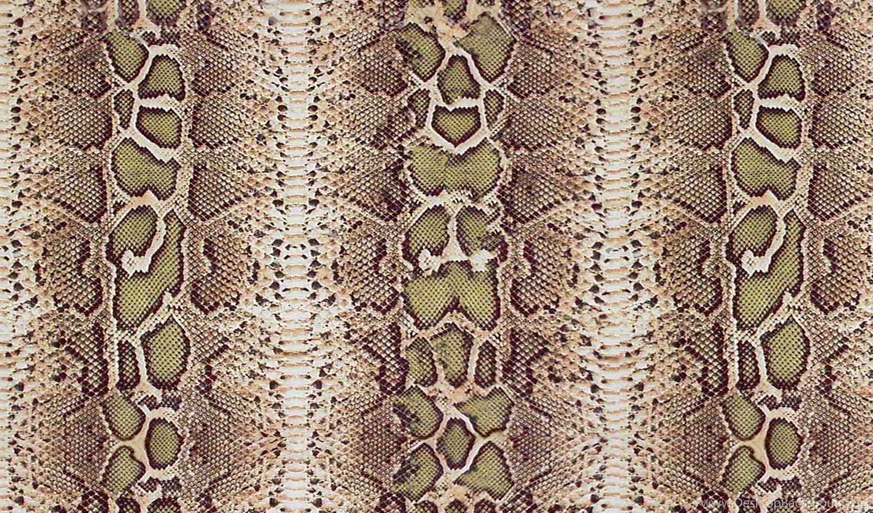 1700x1000 Wallpaper Snake Skin Free Snakeskin Crocodile And Alligator