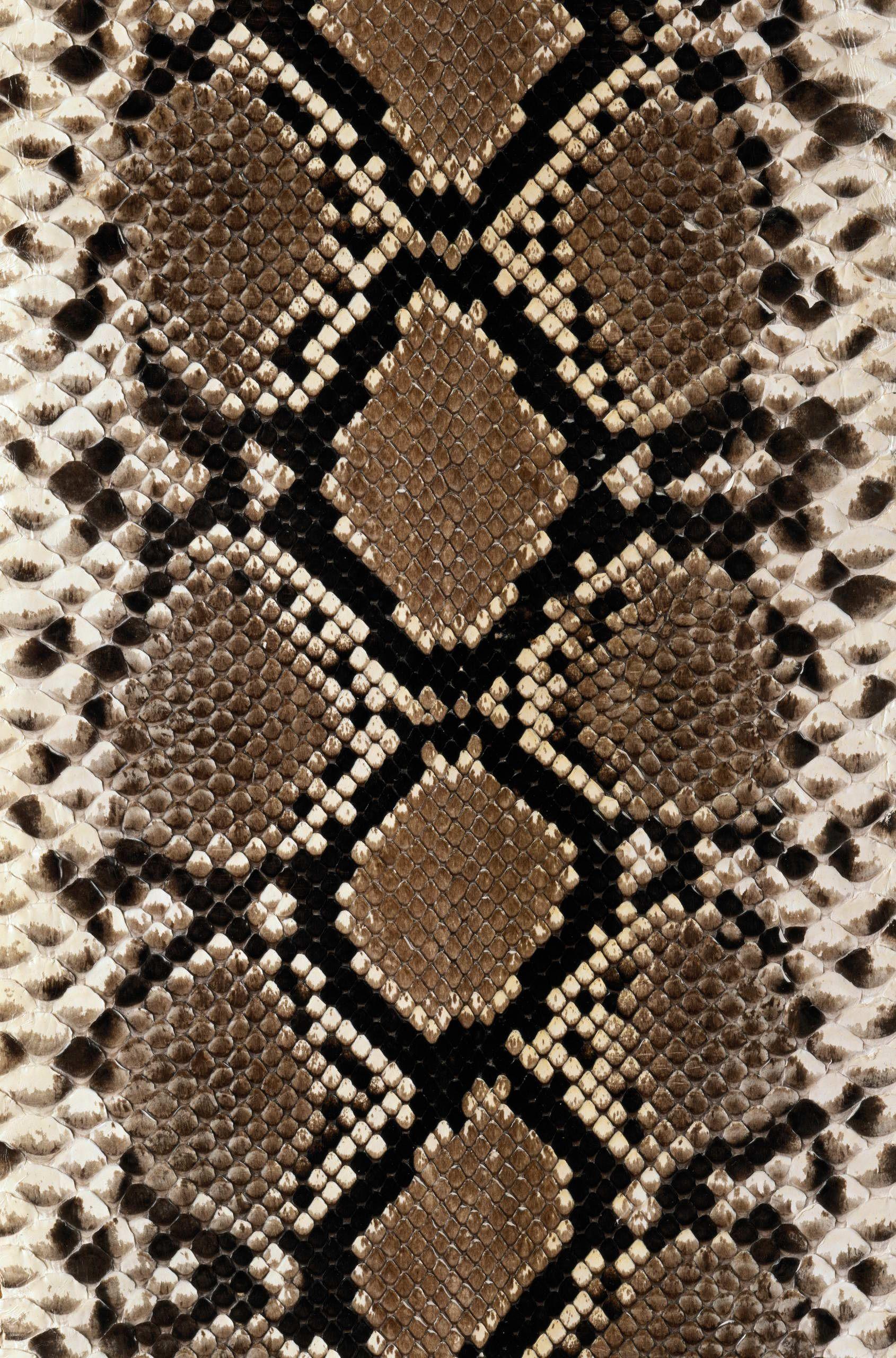 1690x2560 python. Design Print. Texture, Snake skin