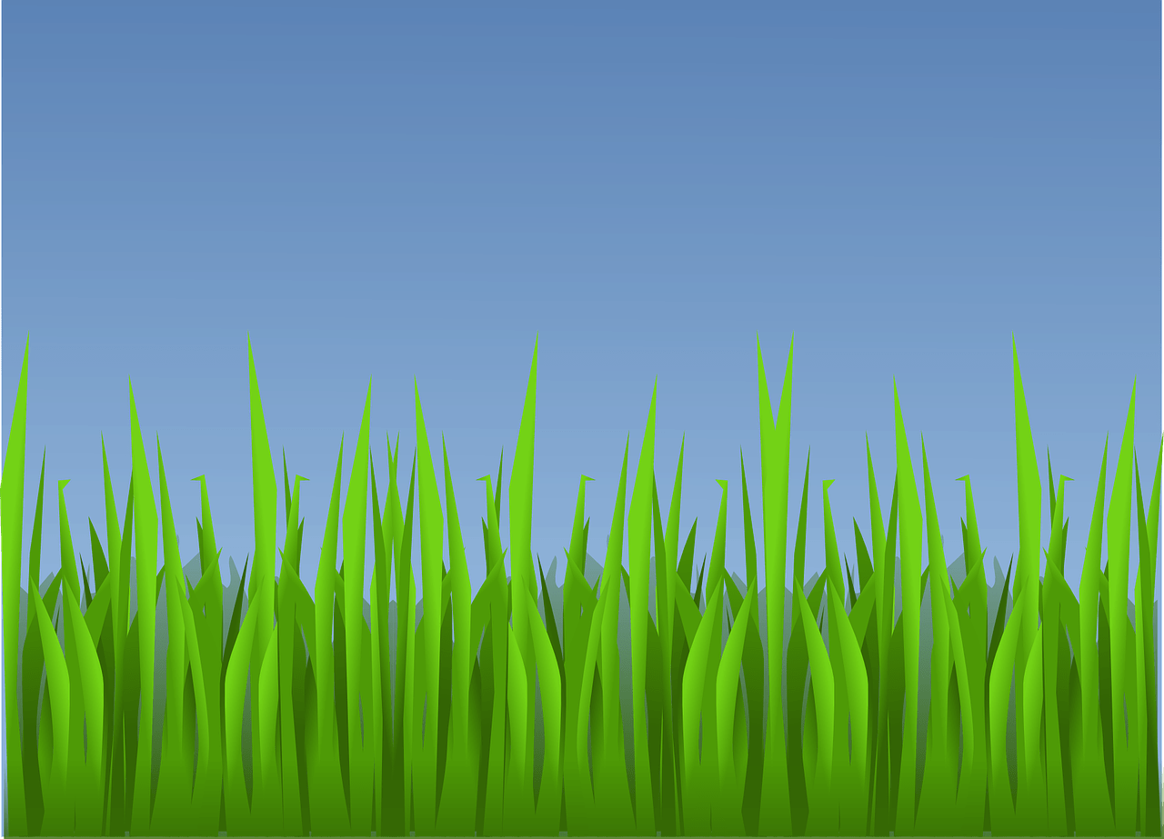 Cartoon Grass Wallpapers - Top Free Cartoon Grass Backgrounds -  WallpaperAccess