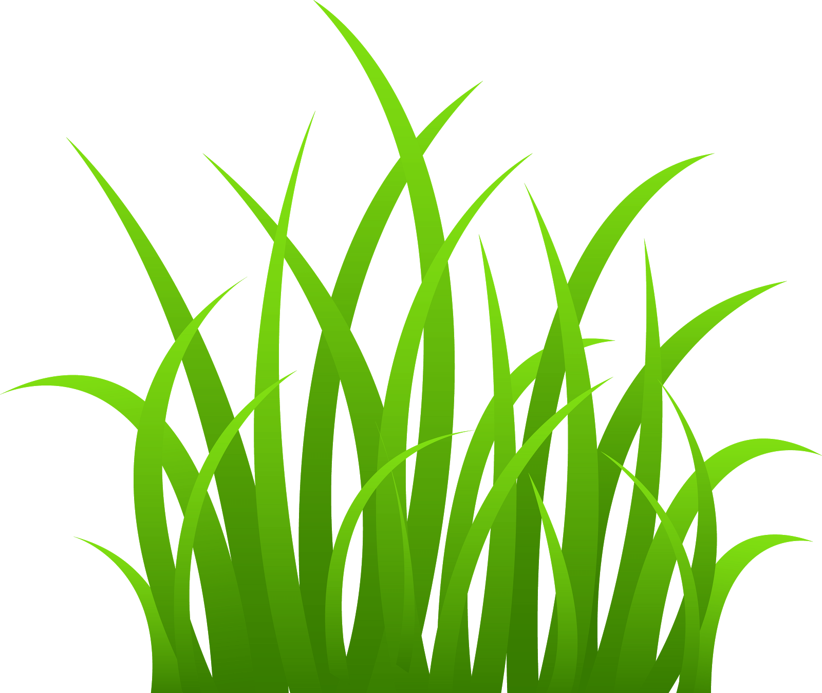 Cartoon Grass Wallpapers Top Free Cartoon Grass Backgrounds