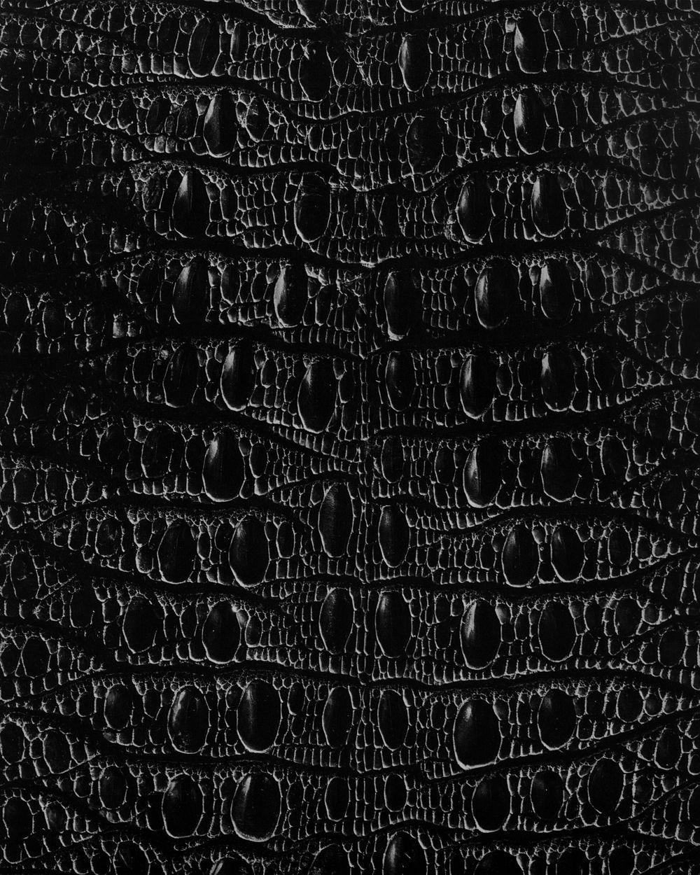 1000x1250 Black Snake Skin Wallpaper