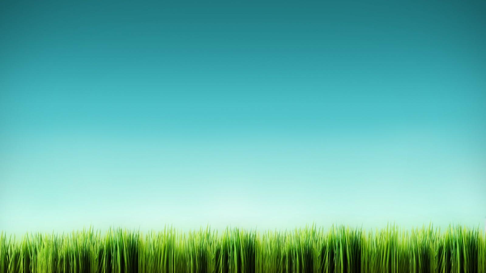 Cartoon Grass Wallpapers Top Free Cartoon Grass Backgrounds