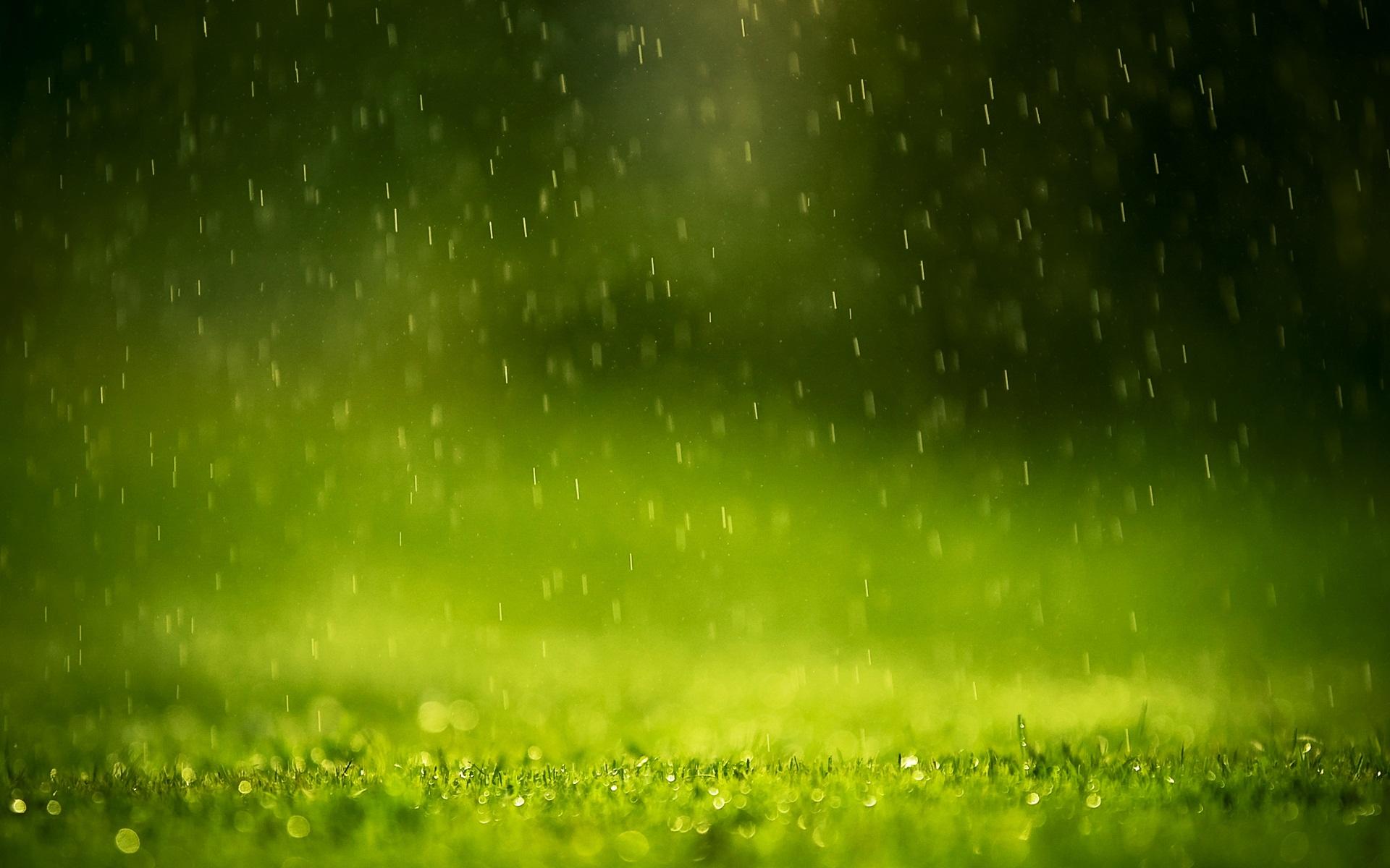 1920x1200 Daily Wallpaper: Fresh Morning Grass. I Like To Waste My Time