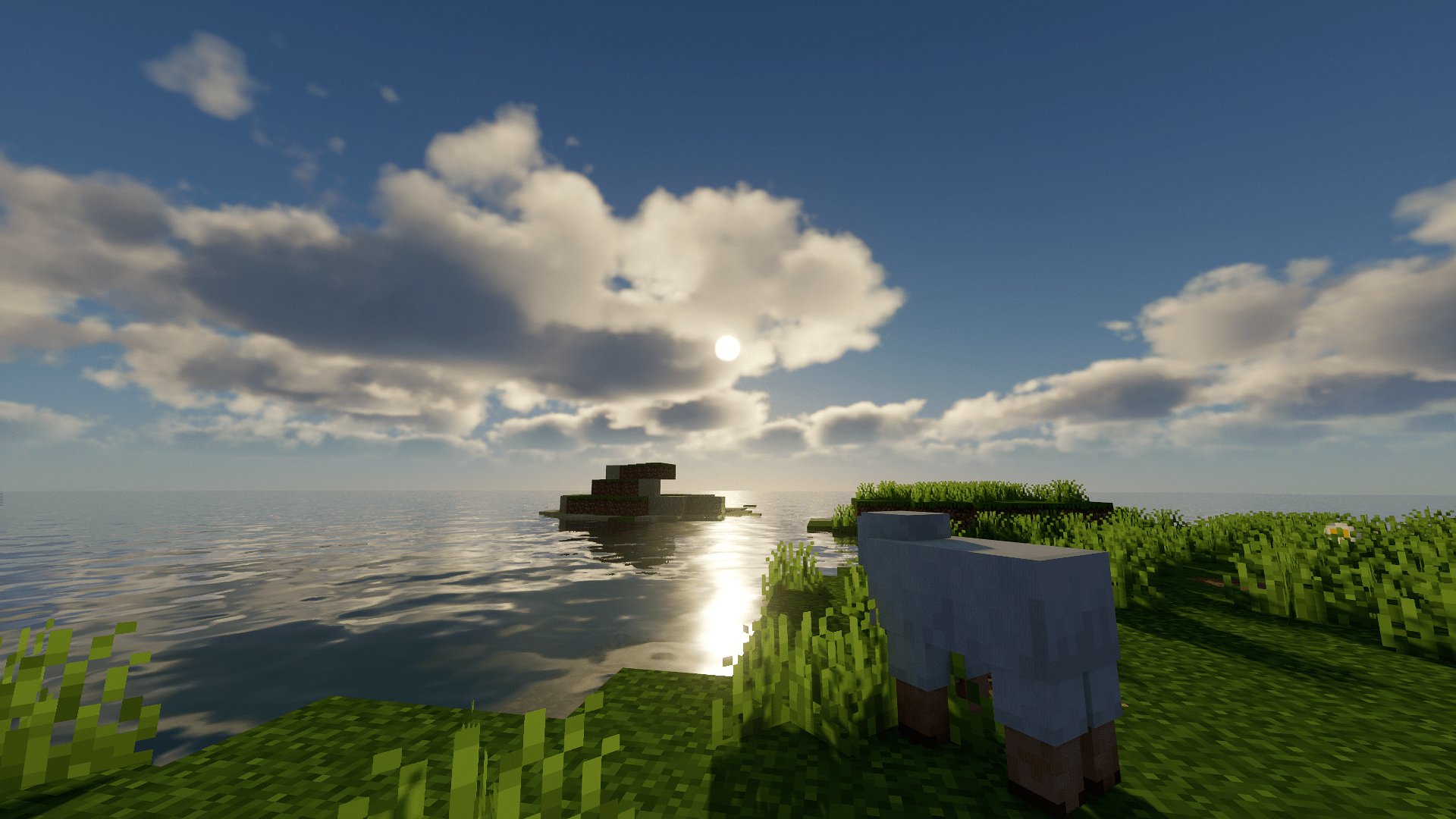 1920x1080 Sheep HD Wallpaper and Background