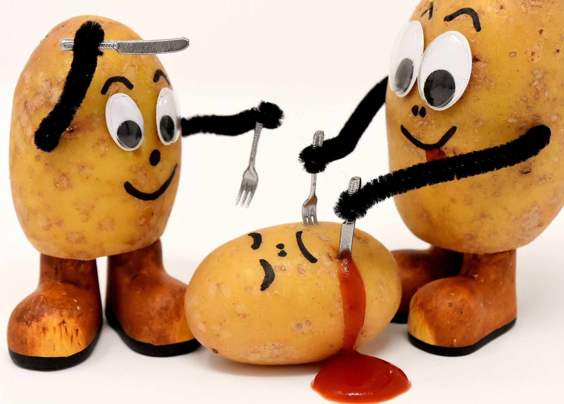 Funny Potato Wallpapers Top Free Funny Potato Backgrounds