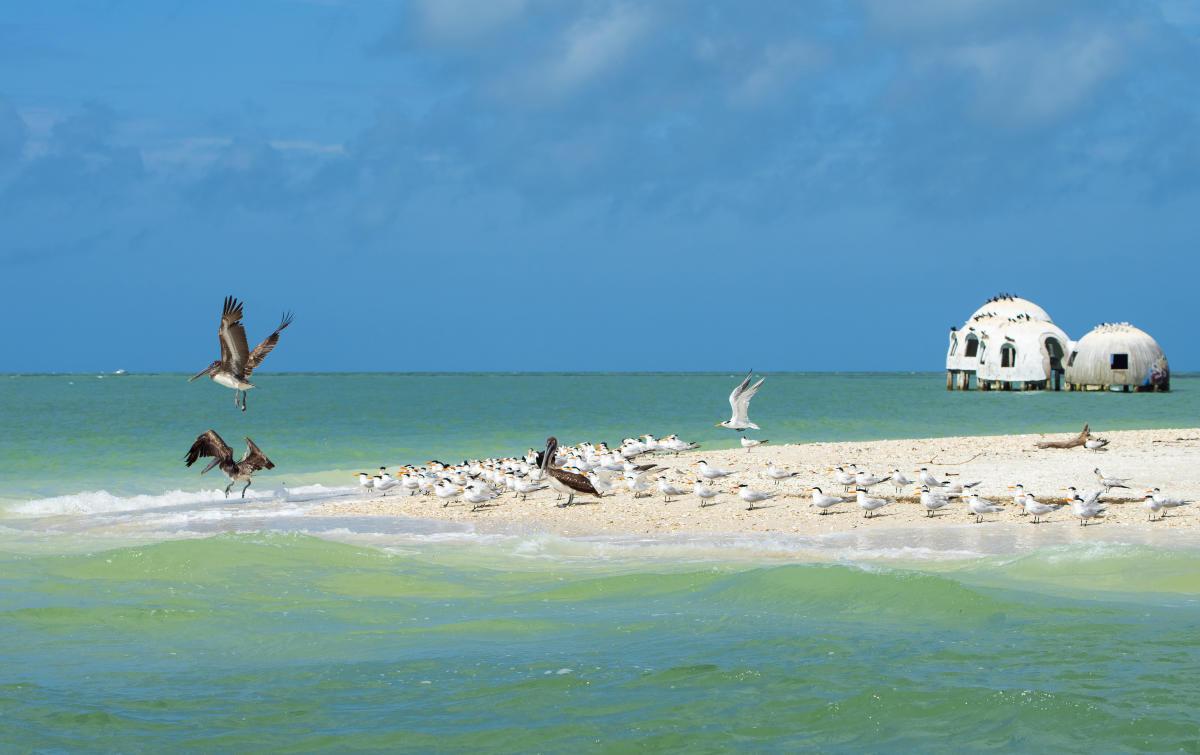 1200x755 Marco Island Florida to Vacations & Attractions in Marco Island FL