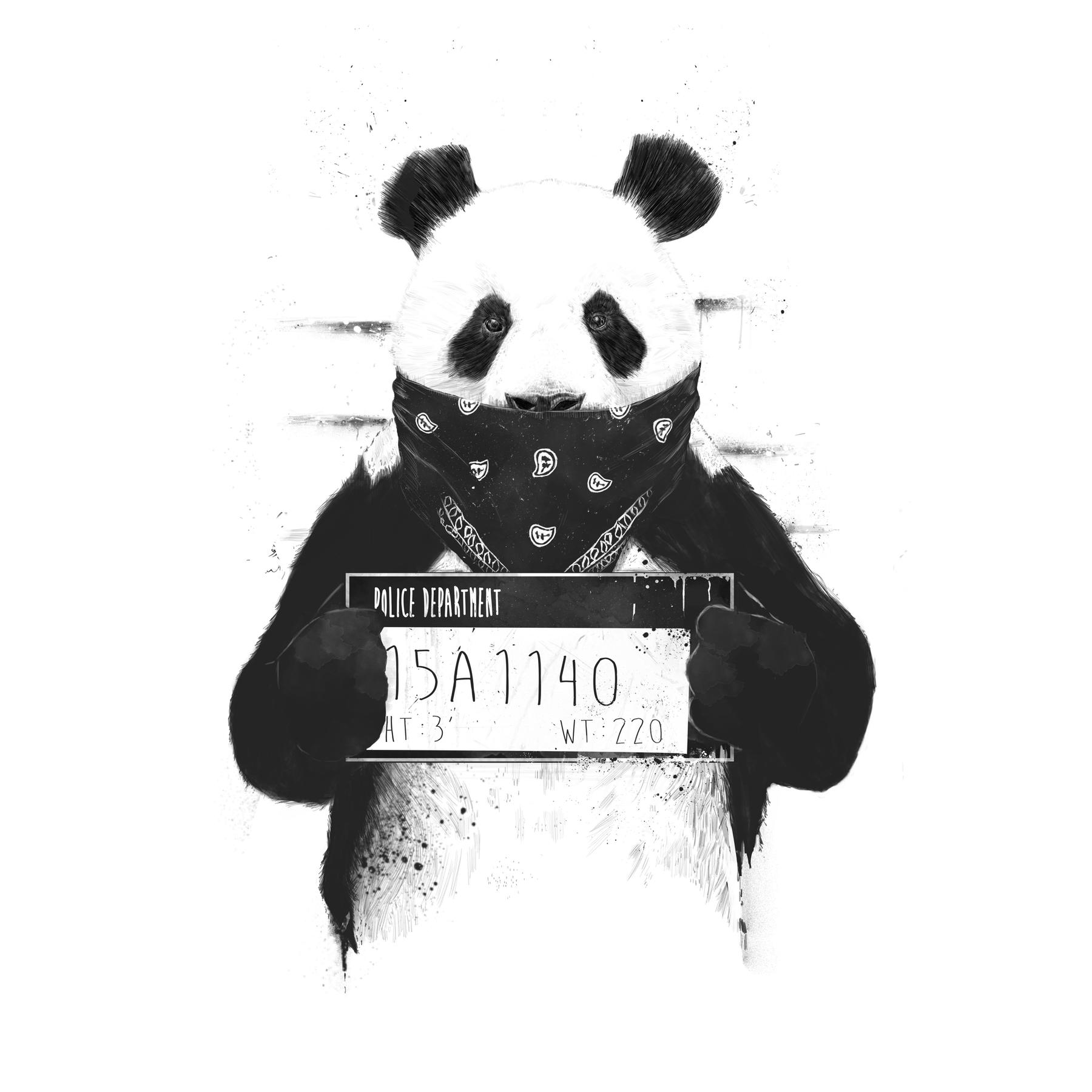 1800x1800 Bad Panda Wallpaper and Quirky Wall Decor