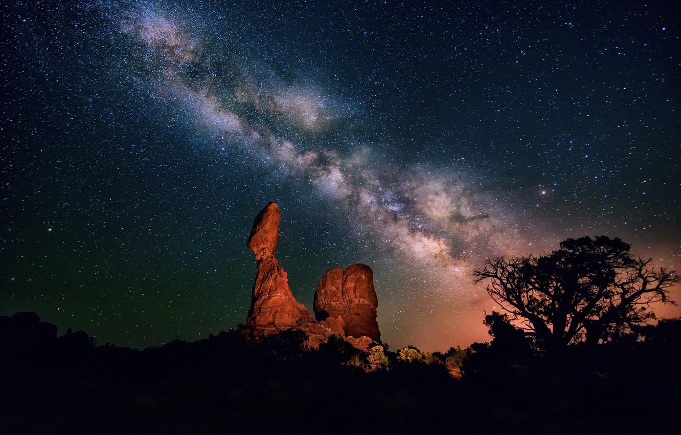 1332x850 Wallpaper the sky, stars, night, tree, desert, canyon, the milky way, silhouettes, the bushes image for desktop, section пейзажи