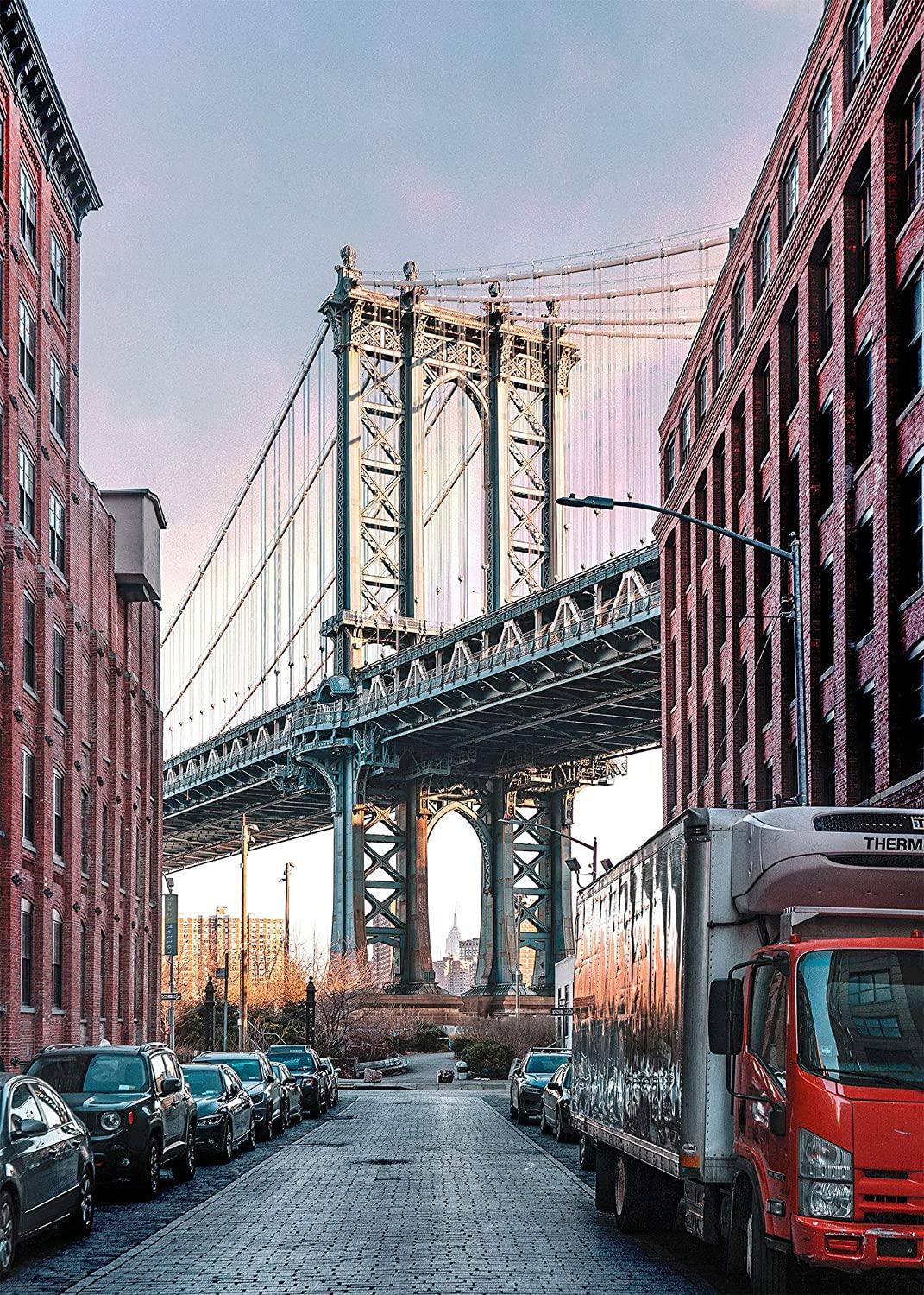1071x1500 Dumbo 1000 Piece Jigsaw Puzzle for Adults and Children (Brooklyn New York Neighborhood Landmark)—Jigsaw Central : Toys & Games
