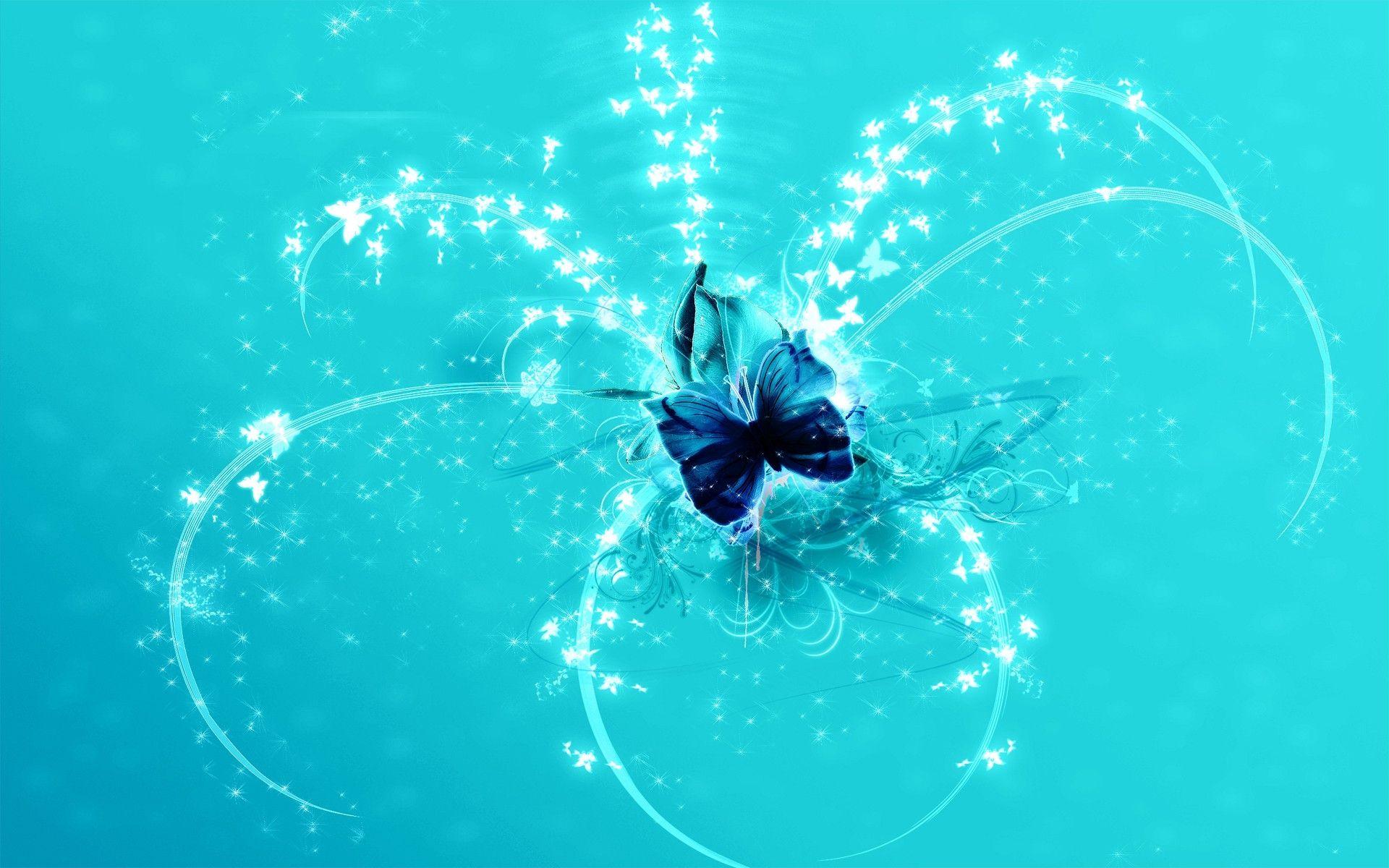 1920x1200 Butterfly Wallpaper, Picture, Image