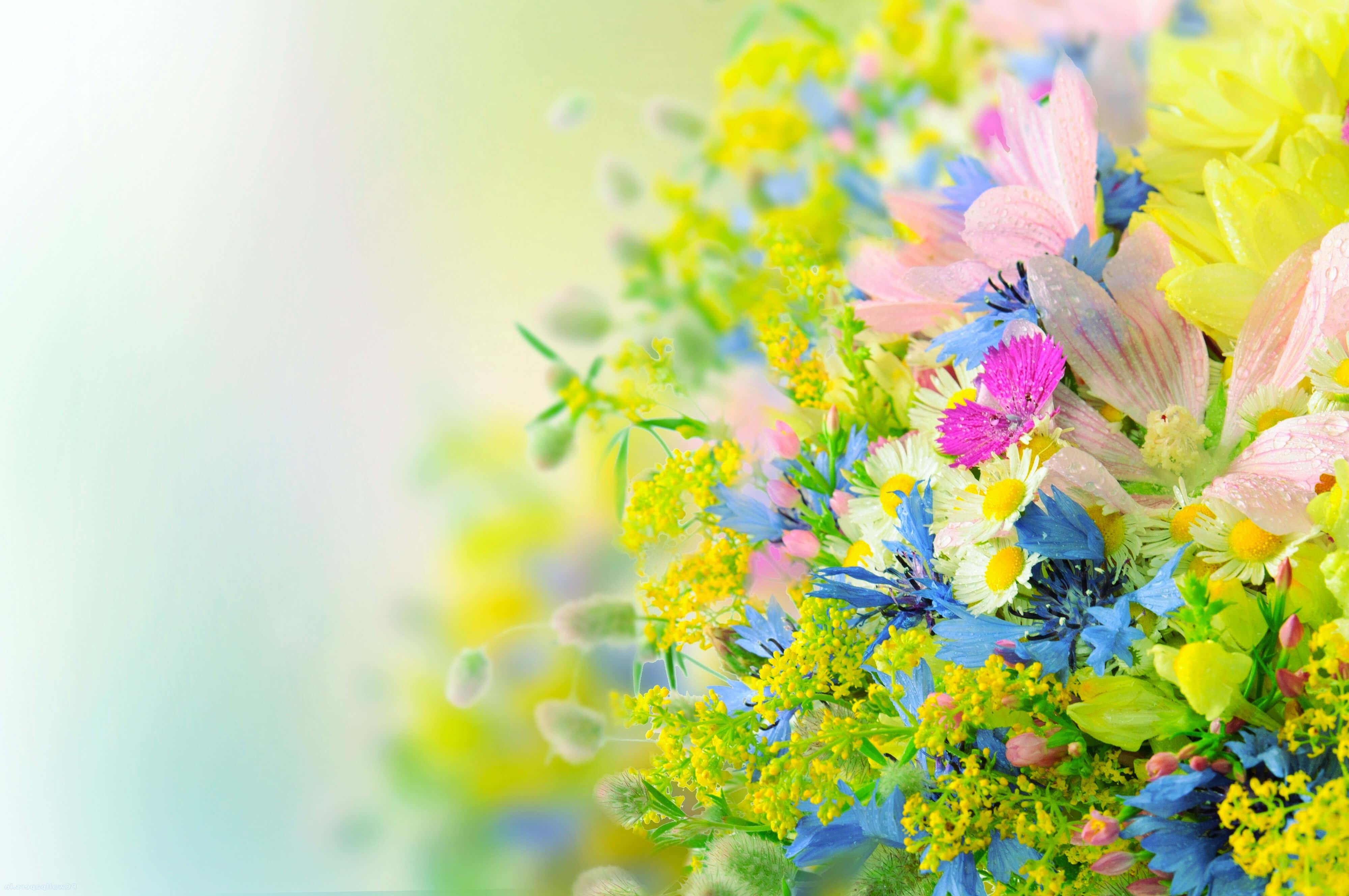 4000x2657 Bright Flowers Wallpaper