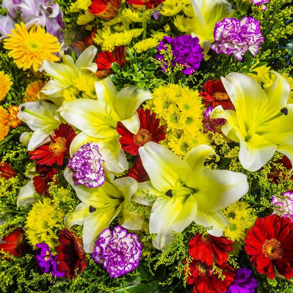 1000x1000 Bright Flowers Picture. Download Free Image