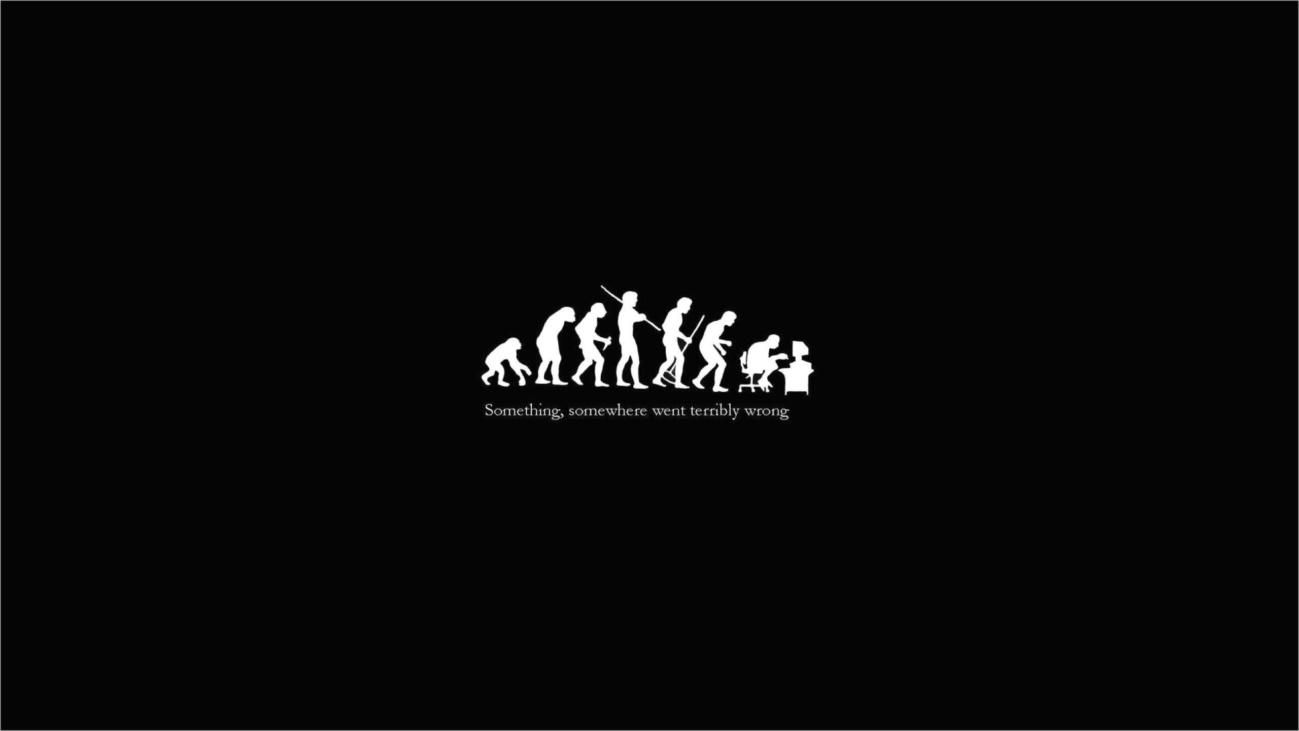 2560x1441 Funny 4k Wallpaper