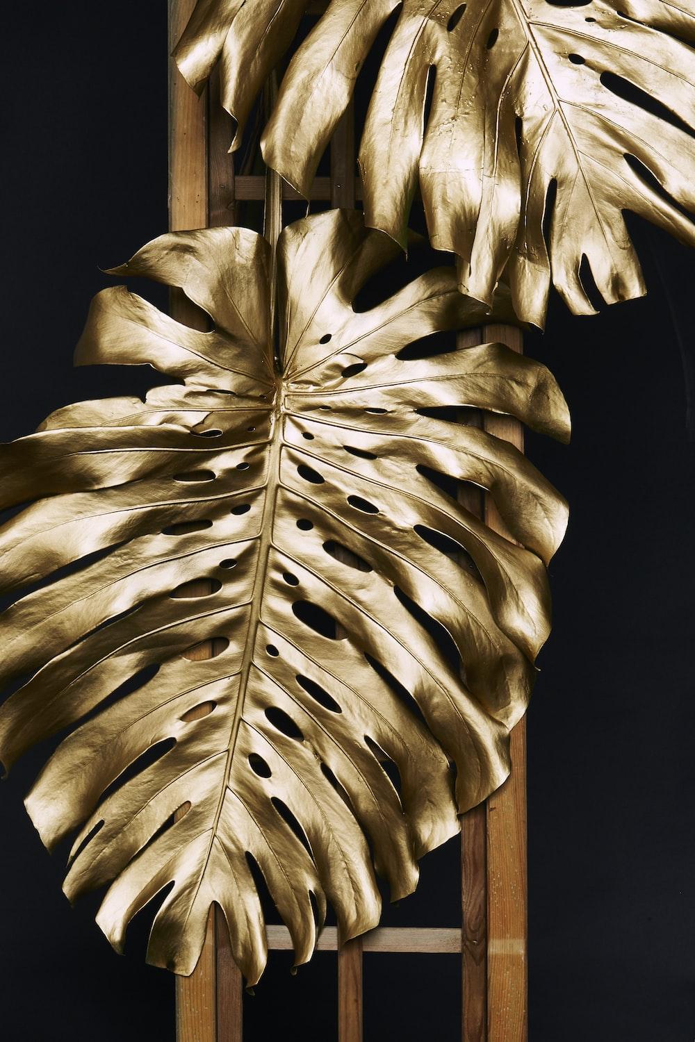 1000x1500 Gold Leaf Picture. Download Free Image