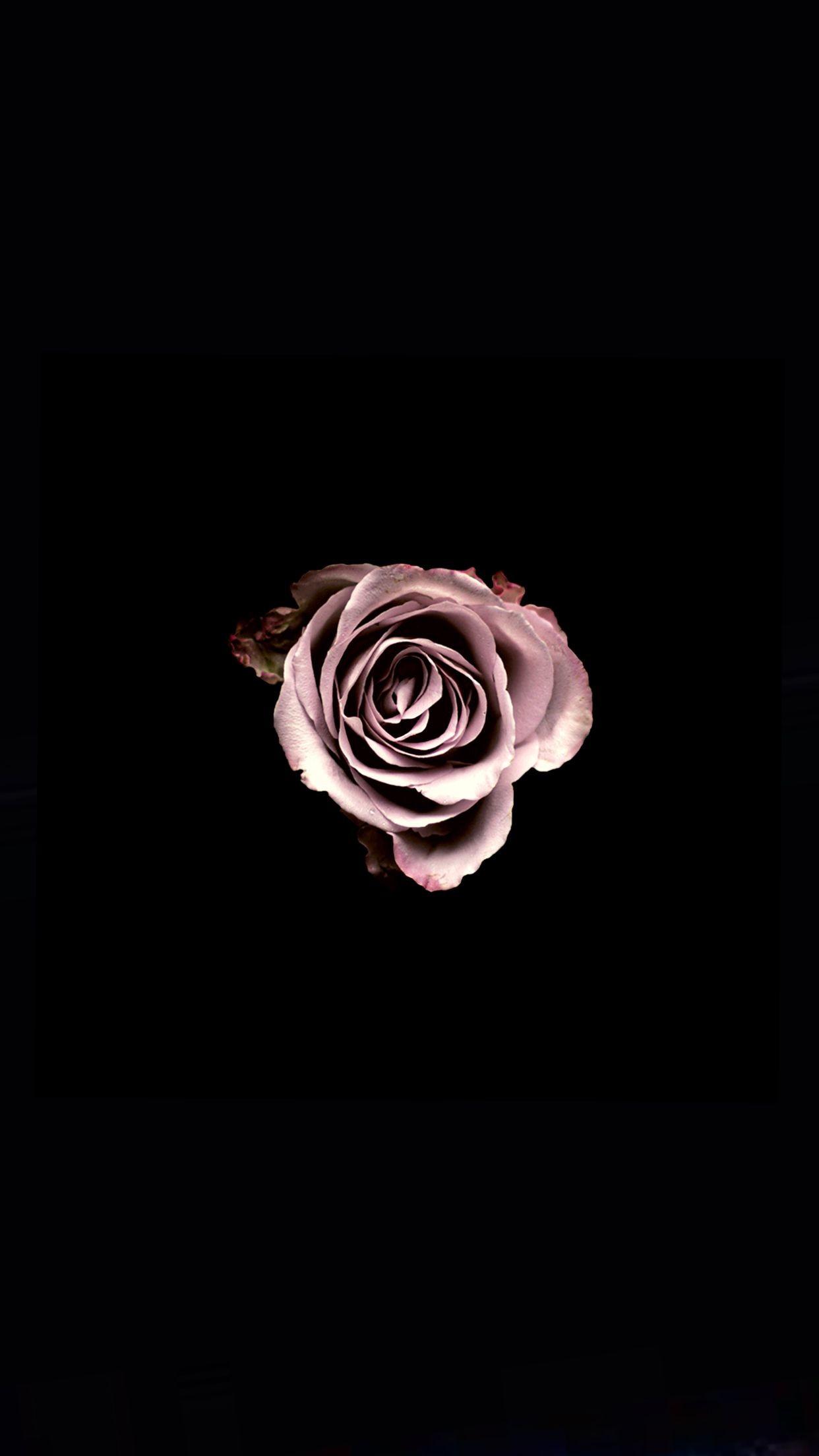 1242x2208 Black And Rose Gold Phone Wallpaper