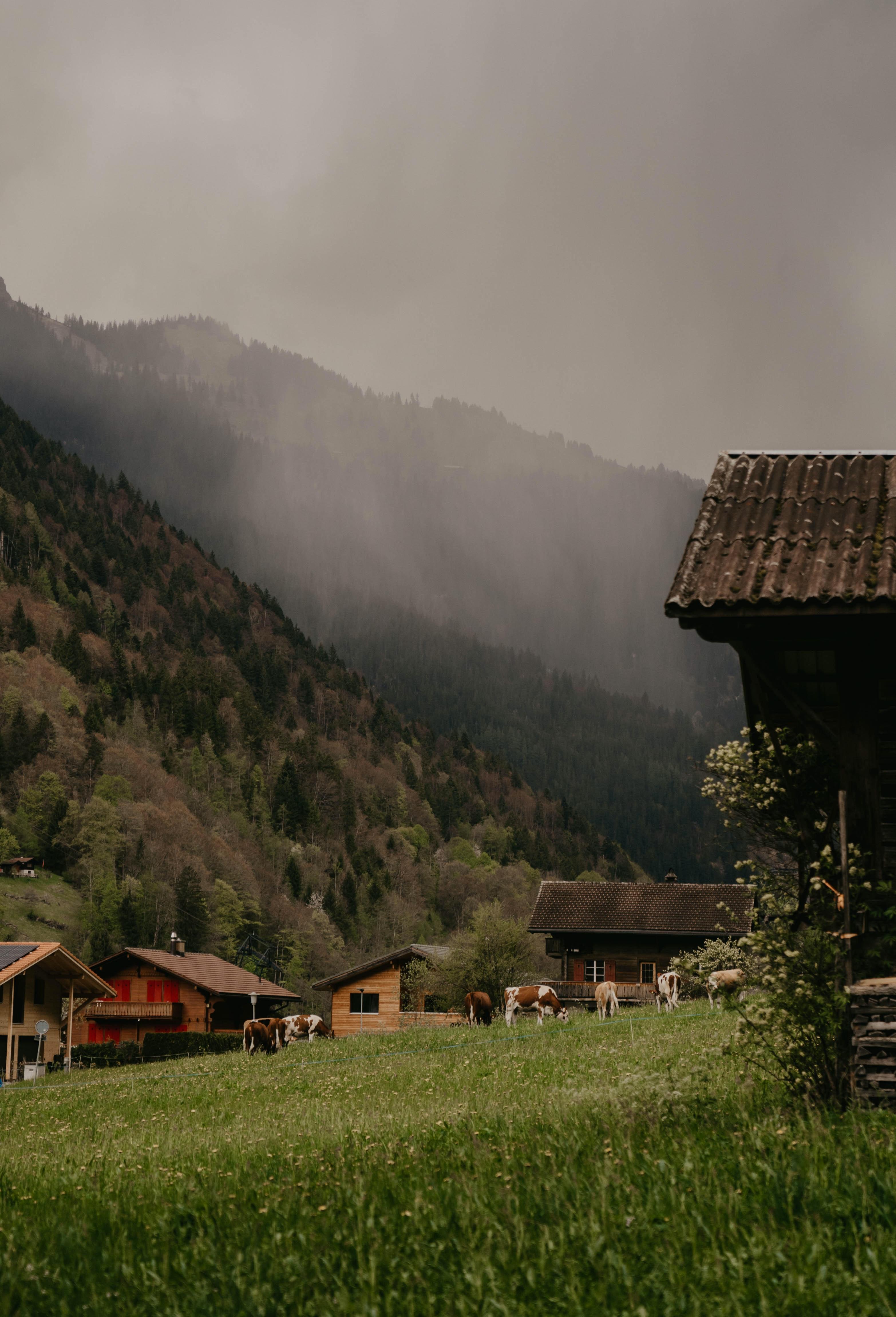 3131x4601 Best Free Mountain Village & Image · 100% Royalty Free HD Downloads