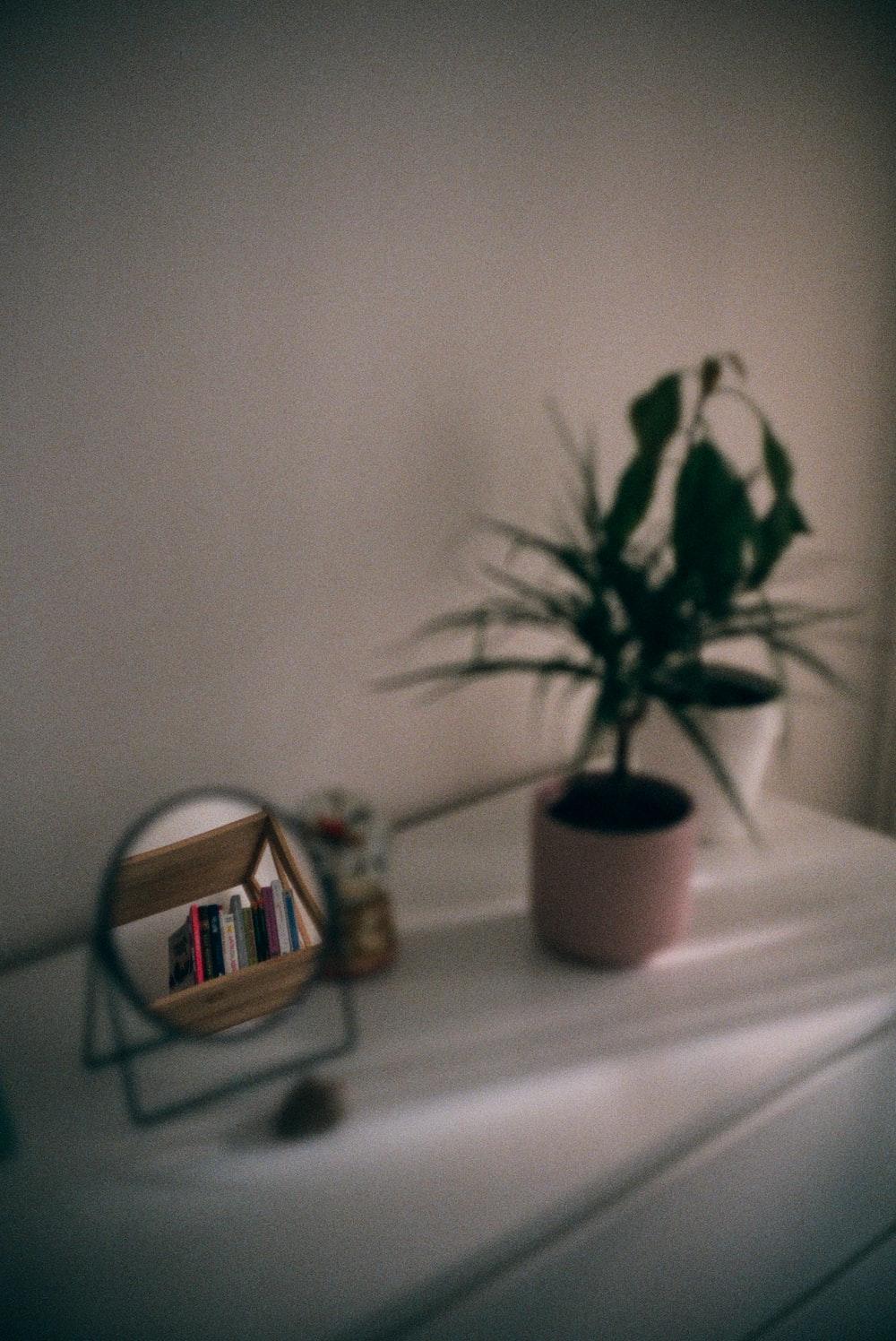 1000x1496 Aesthetic Photography Picture. Download Free Image