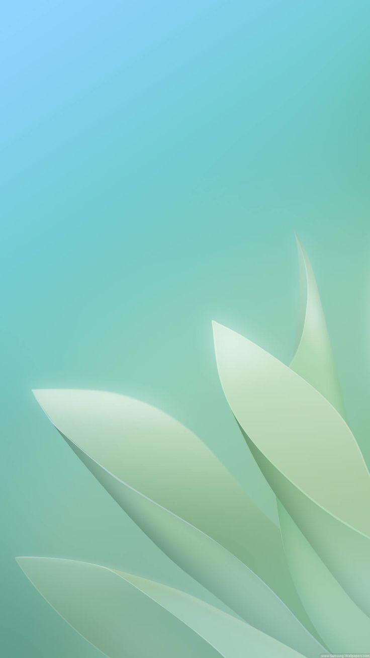 736x1308 Cute Home Screen Wallpaper For Android Background Screen Android HD