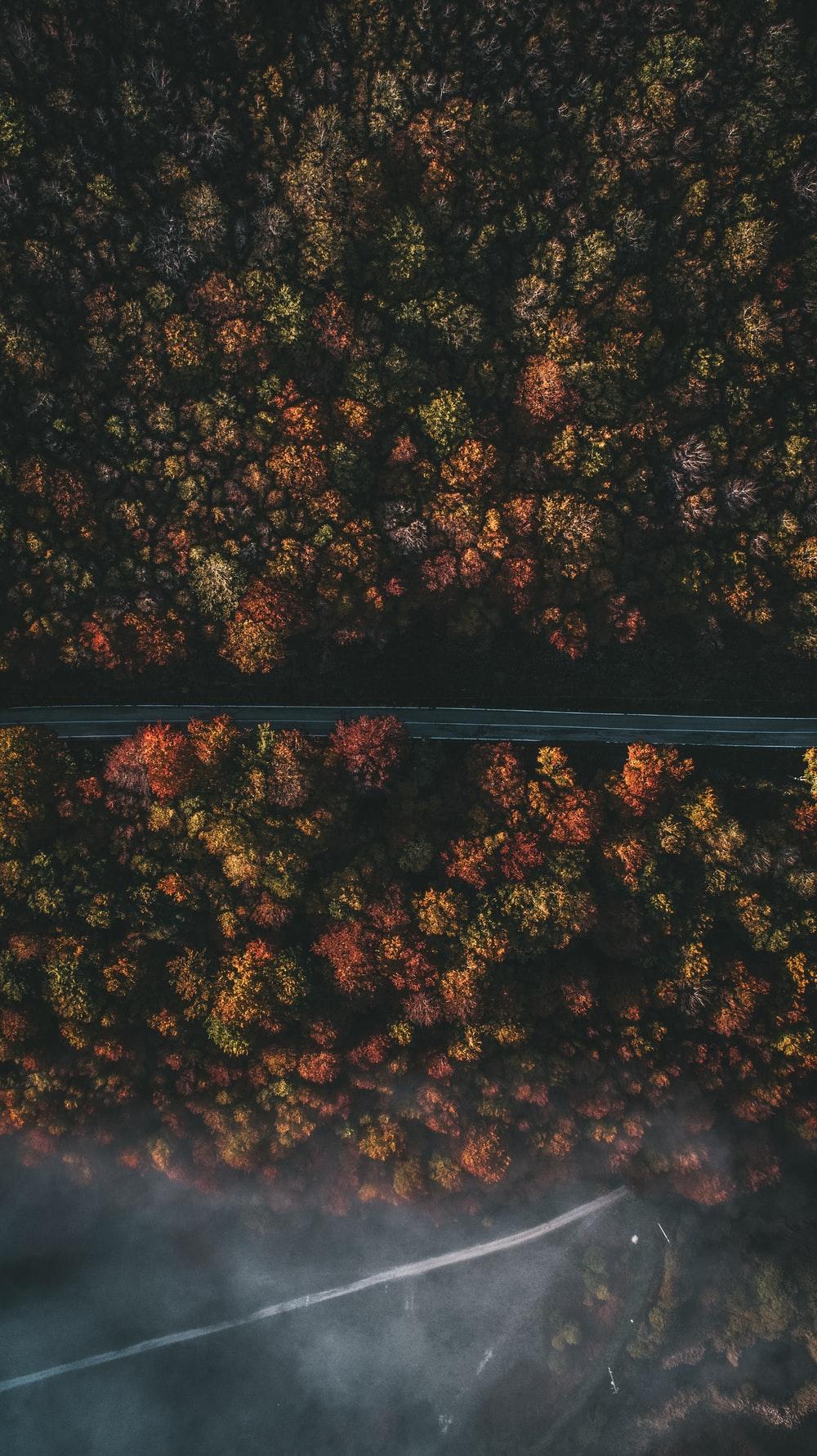 1000x1780 Homescreen Phone Wallpaper
