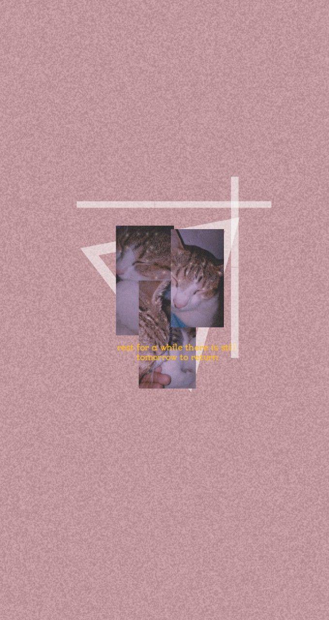679x1280 Wallpaper kucing aesthetic. Wallpaper, Poster, Movie posters