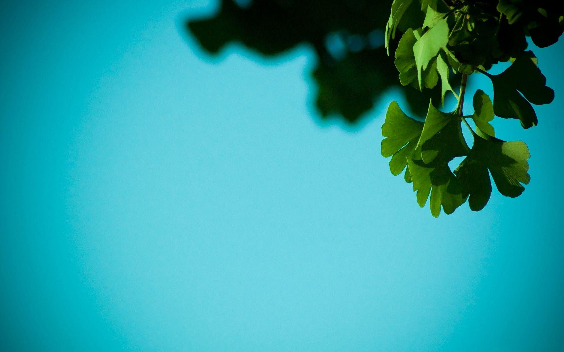 1920x1200 Simple Nature Wallpaper
