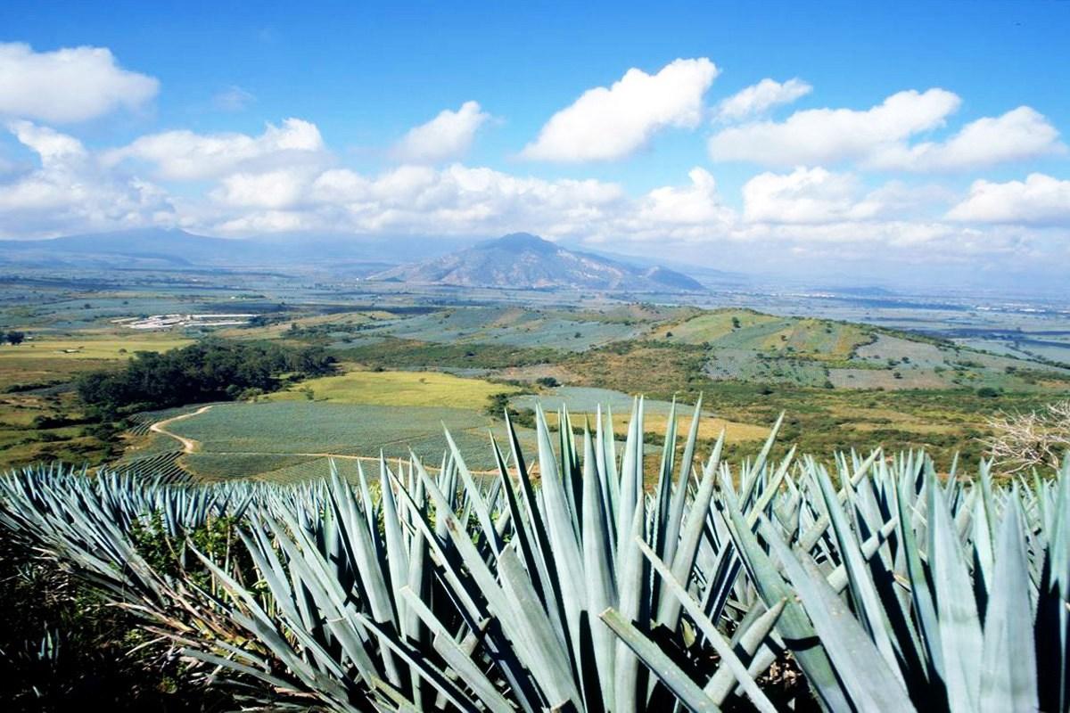 1200x800 Los 6 imperdibles de Jalisco
