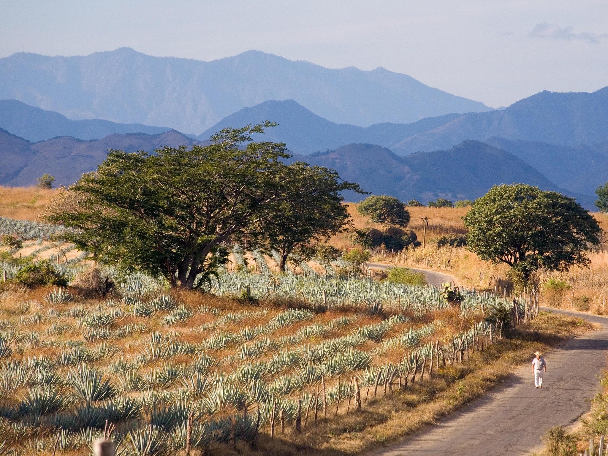 2048x1536 Tippling Down the Tequila Trail in Jalisco, Mexico. Condé Nast Traveler
