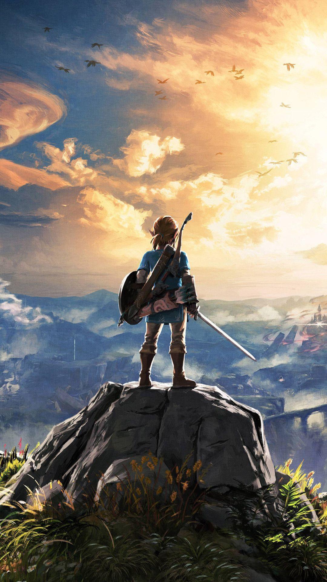 1080x1920 Hyrule Wallpaper background picture