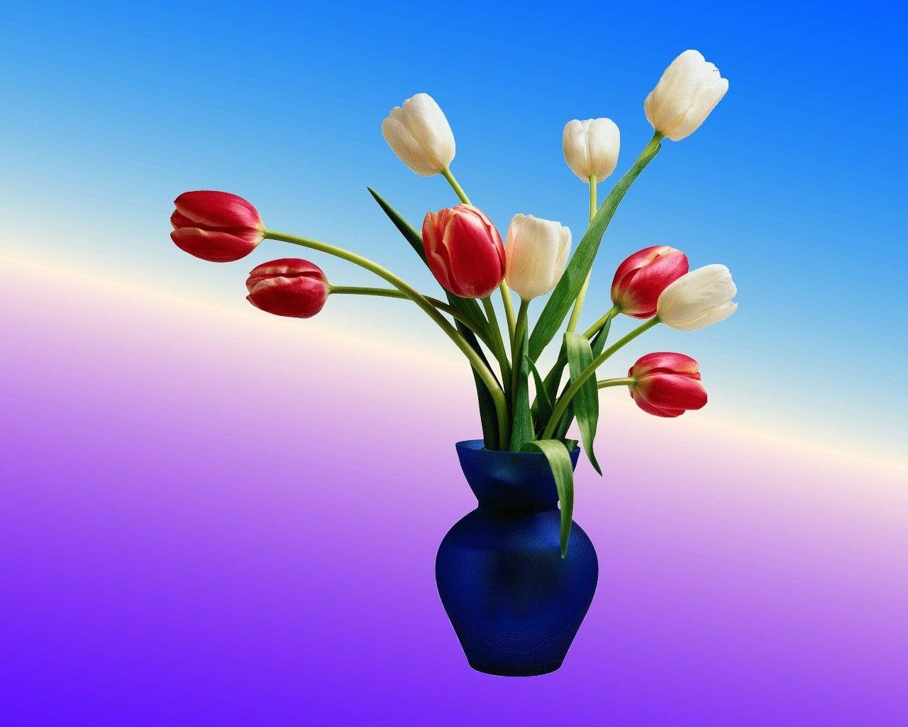1280x1024 Flowers: Flowers Blue White Red Tulips Vase Purple Flower Wallpaper (2022)