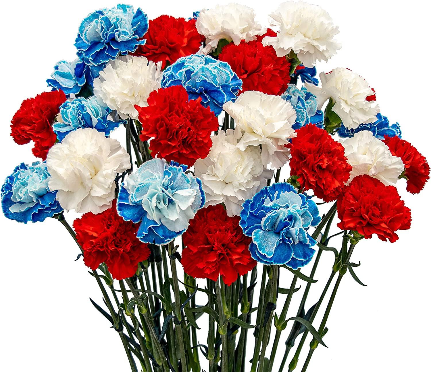 Red White And Blue Flowers Wallpaper at Terrance Olson blog