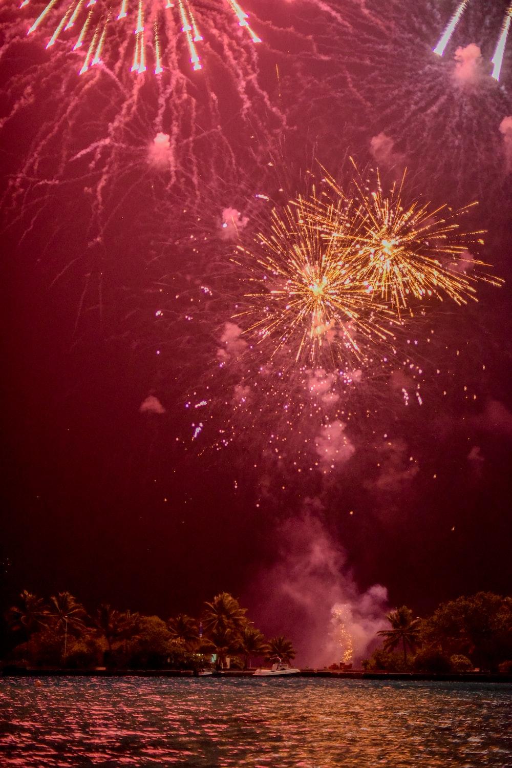 1000x1499 fireworks digital wallpaper photo