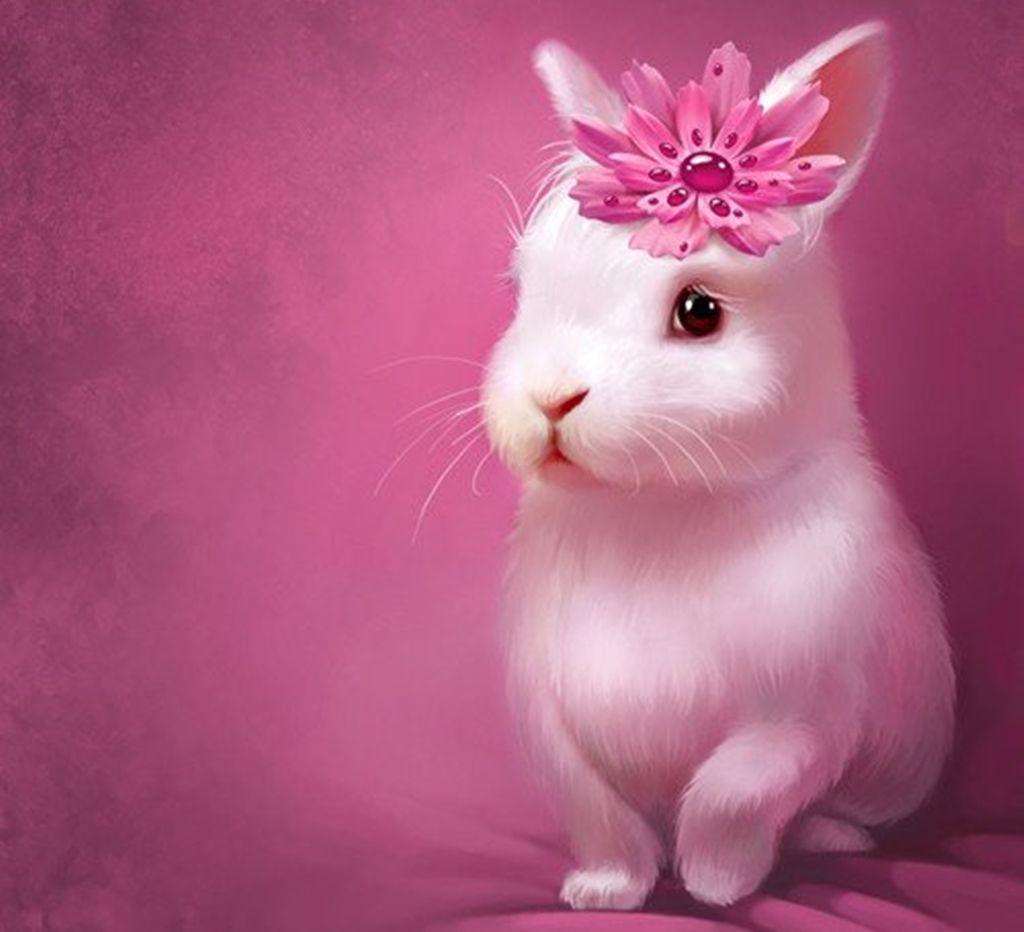 1024x932 Cute Bunny Wallpaper