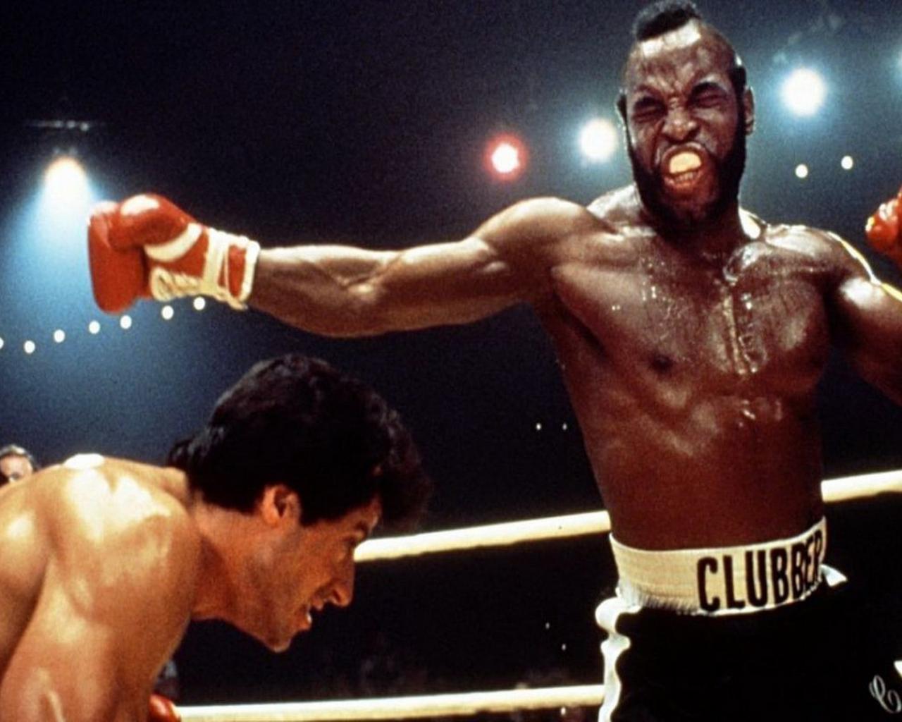 1280x1024 Free download Rocky Wallpaper Rocky Wallpaper 29 1920x1200 [1920x1200] for your Desktop, Mobile & Tablet. Explore Rocky Wallpaper. Rocky Balboa Wallpaper, Rocky Mountain Wallpaper, Rocky Wallpaper HD