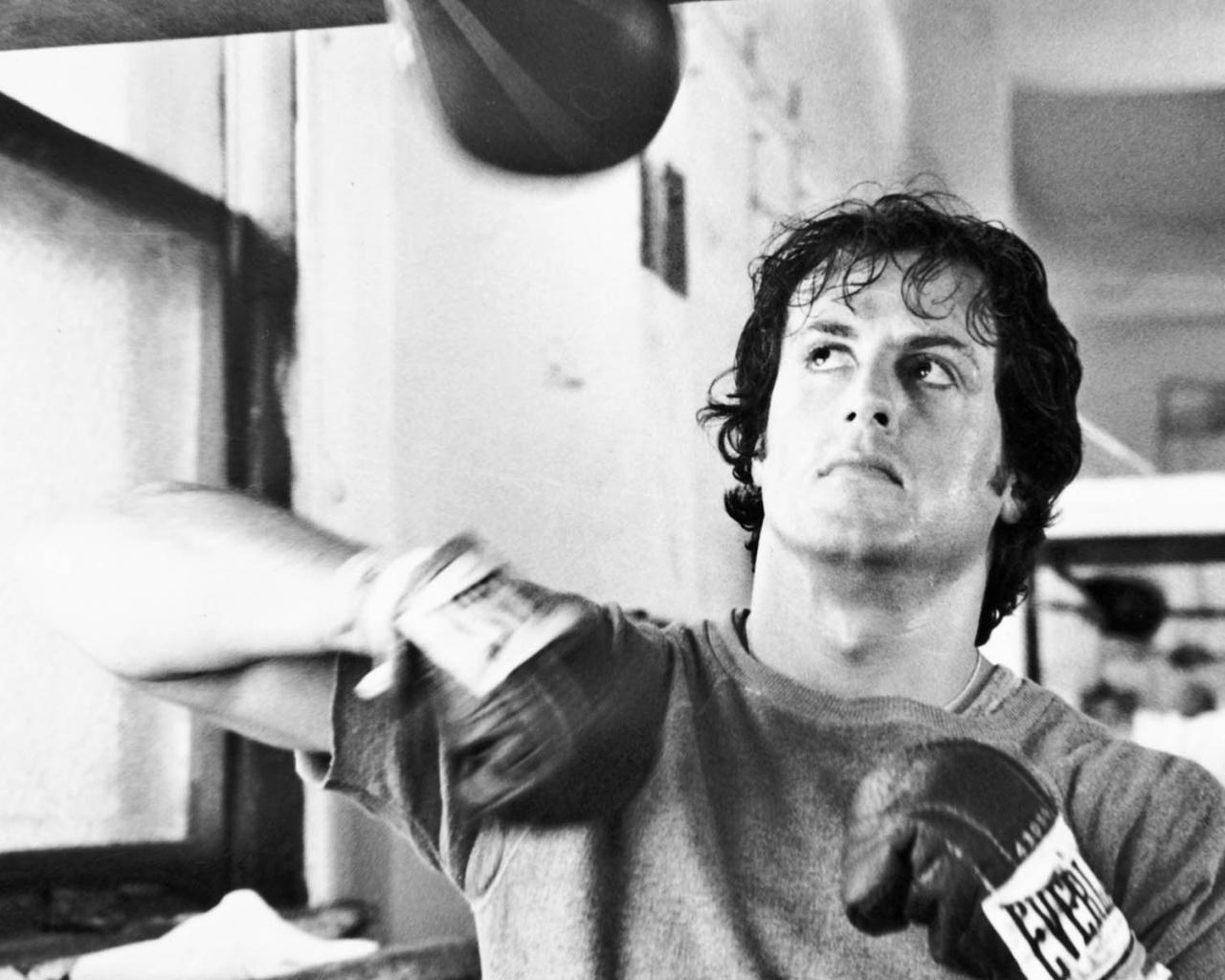 1280x1024 Free download Rocky Wallpaper HD Movie Desktop Wallpaper 1920x1200 [1920x1200] for your Desktop, Mobile & Tablet. Explore Rocky HD Wallpaper. Rocky Wallpaper, Rocky Balboa Wallpaper, Rocky Mountain National Park Wallpaper