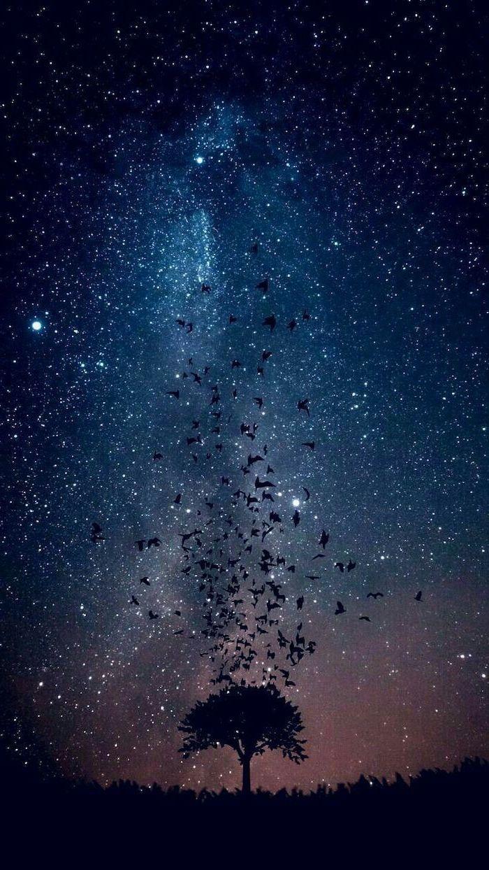 700x1244 Birds Flying Away From A Tree Space Desktop Background Galaxy In Blue Orange Star Filled Sky. Cool Galaxy Wallpaper, Galaxy Image, Scenery Wallpaper