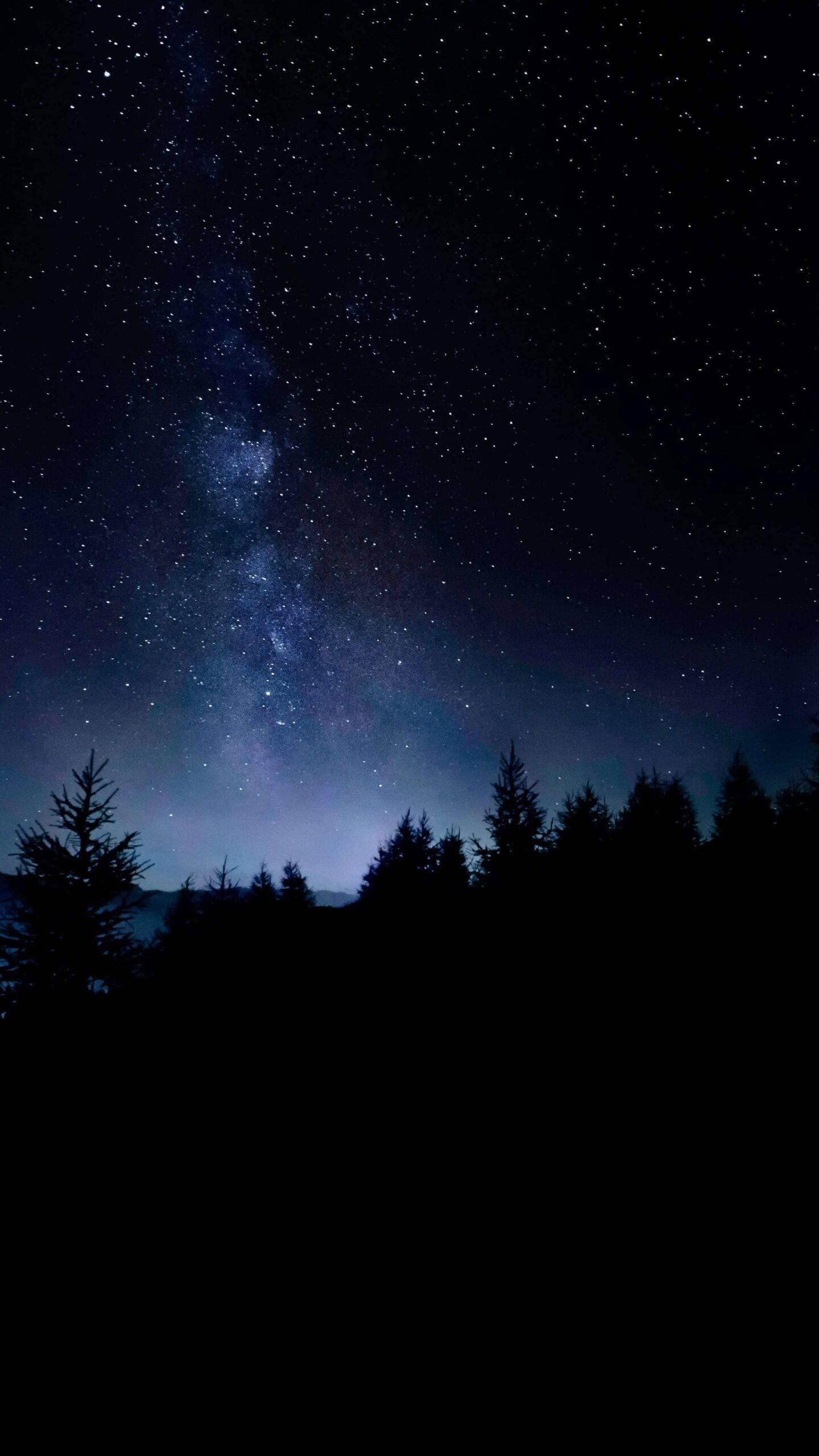 1440x2560 4K iPhone 13 Wallpaper Amoled Trees Starry Sky 13 pro max Wallpaper, iPhone 12 Background, iPhone Wallpaper, iPhone background. : WallpaperUpdate, Best iPhone Wallpaper and iPhone background