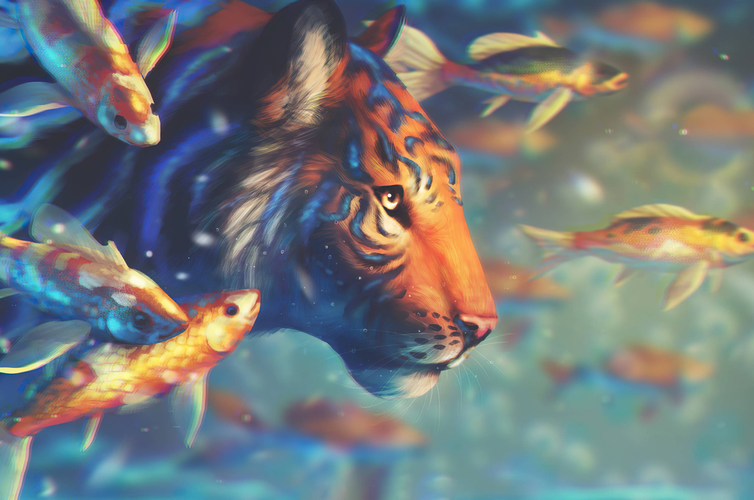 2560x1700 Tiger With Fishes Chromebook Pixel HD 4k Wallpaper, Image, Background, Photo and Picture