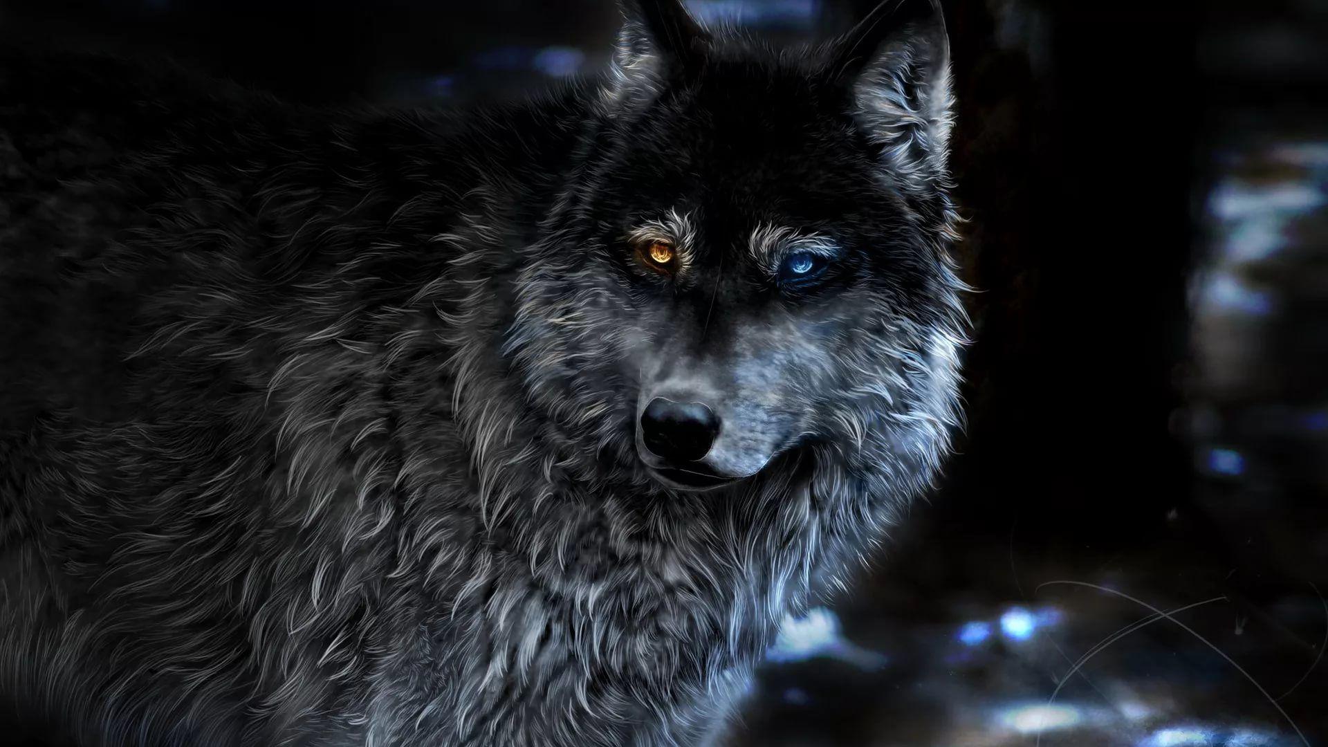 1920x1080 Cool Wolf Wallpaper