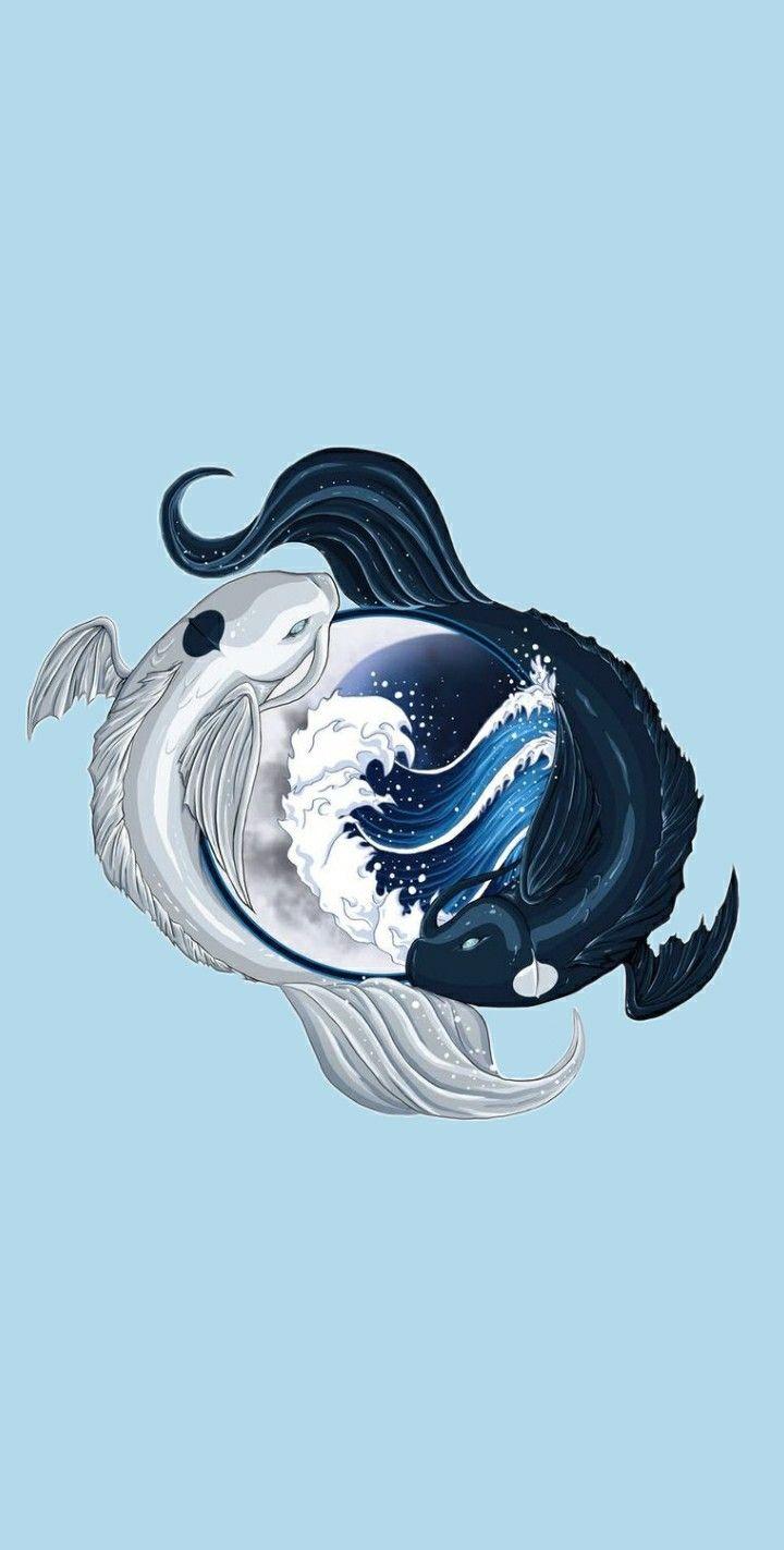 720x1423 Ying yang koi fish