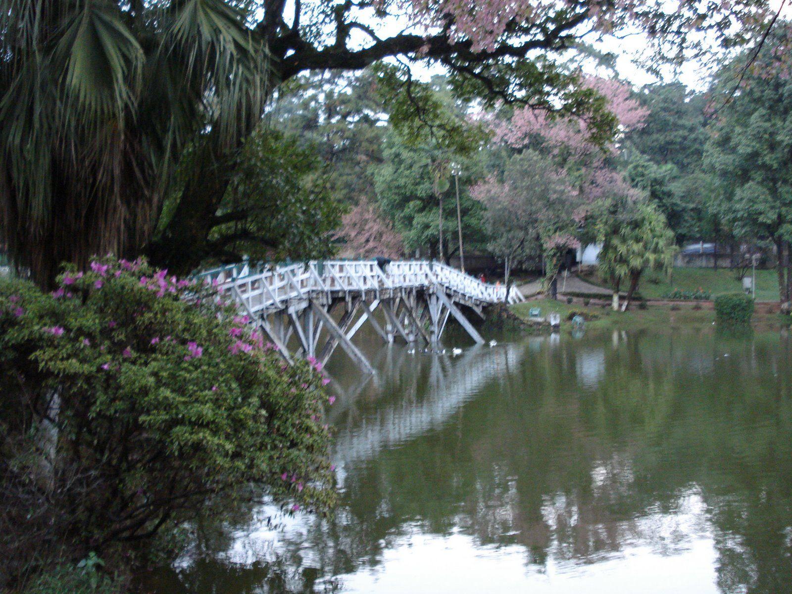 Shillong Wallpapers - Top Free Shillong Backgrounds - WallpaperAccess