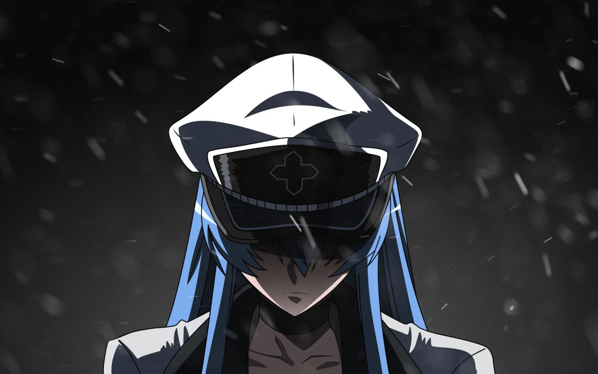 1920x1200 Download wallpaper Akame ga Kill, Esdeath, Japanese manga, characters, portrait, art for desktop with resolution 1920x1200. High Quality HD picture wallpaper