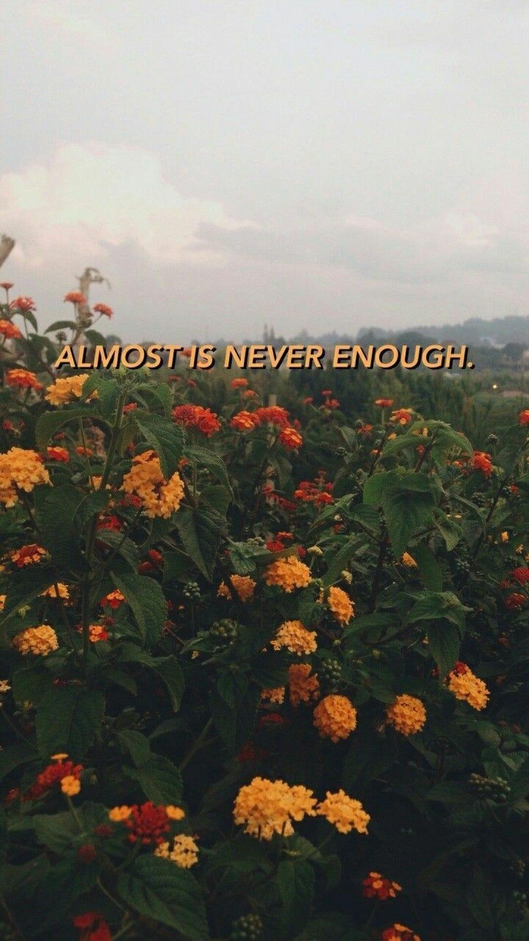 1080x1920 nunca, iPhone, Desktop HD Background / Wallpaper (1080p, 4k) (png / jpg) (2022)