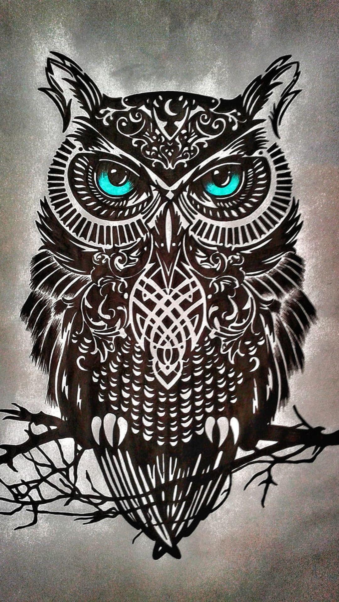 1080x1920 Owl Profile Picture Top Best Owl Profile Picture
