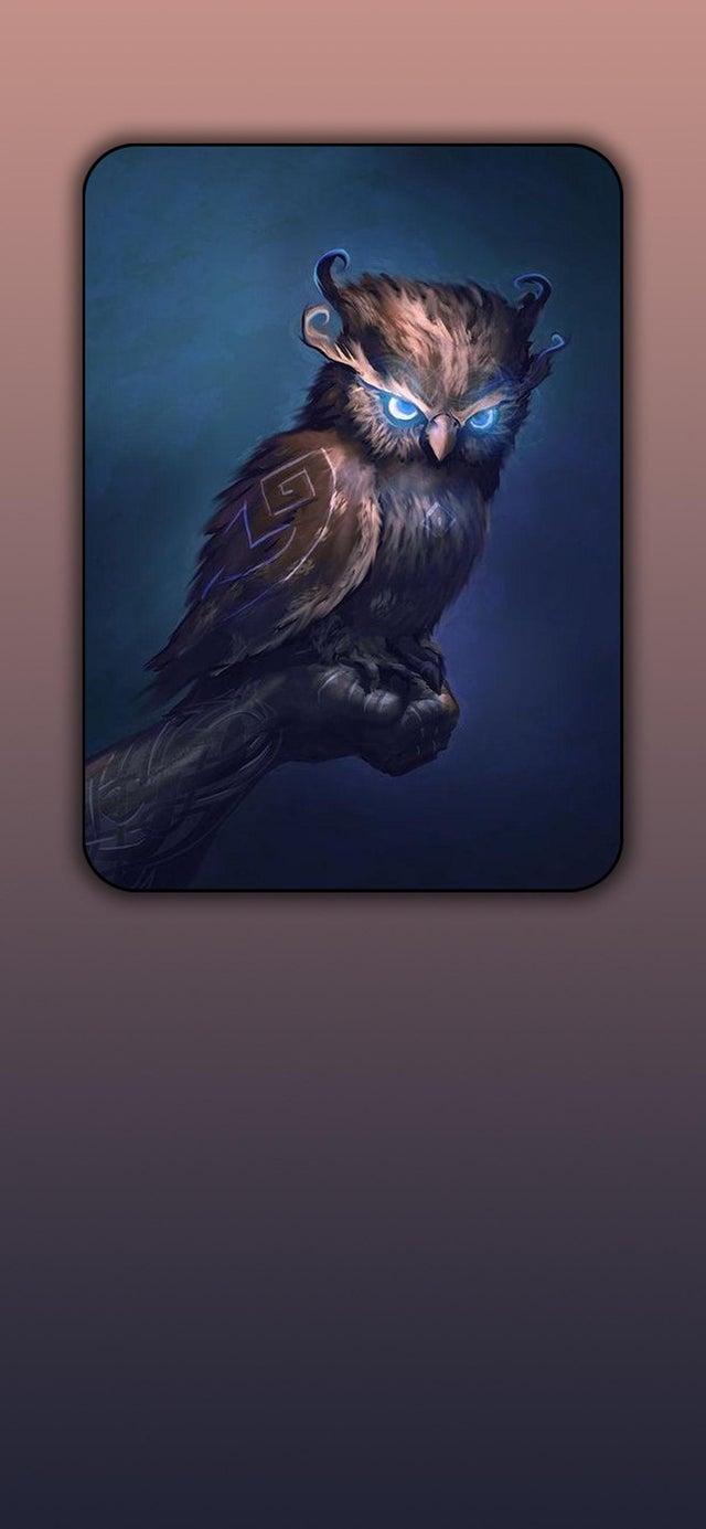 Owl Mobile Wallpapers - Top Free Owl Mobile Backgrounds - WallpaperAccess