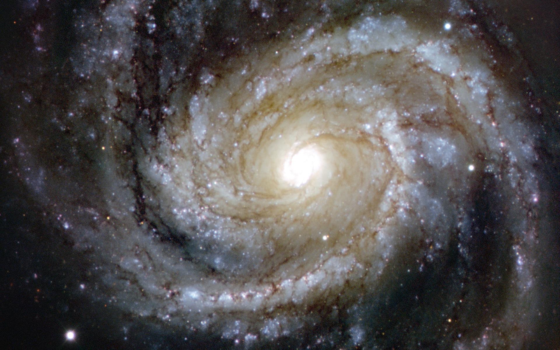 1920x1200 Messier 100 Spiral Galaxy Wallpaper
