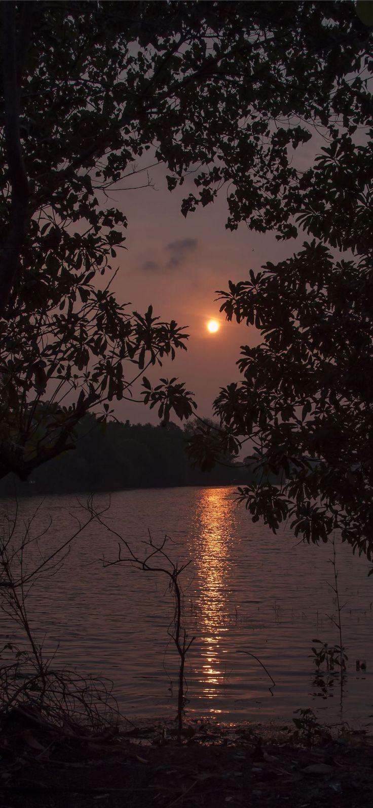 736x1593 Kerala Backwaters Houseboat Experience at Alappuzh. #Kerala mostbeautif. Beautiful nature wallpaper, Beautiful wallpaper background, Live wallpaper iphone
